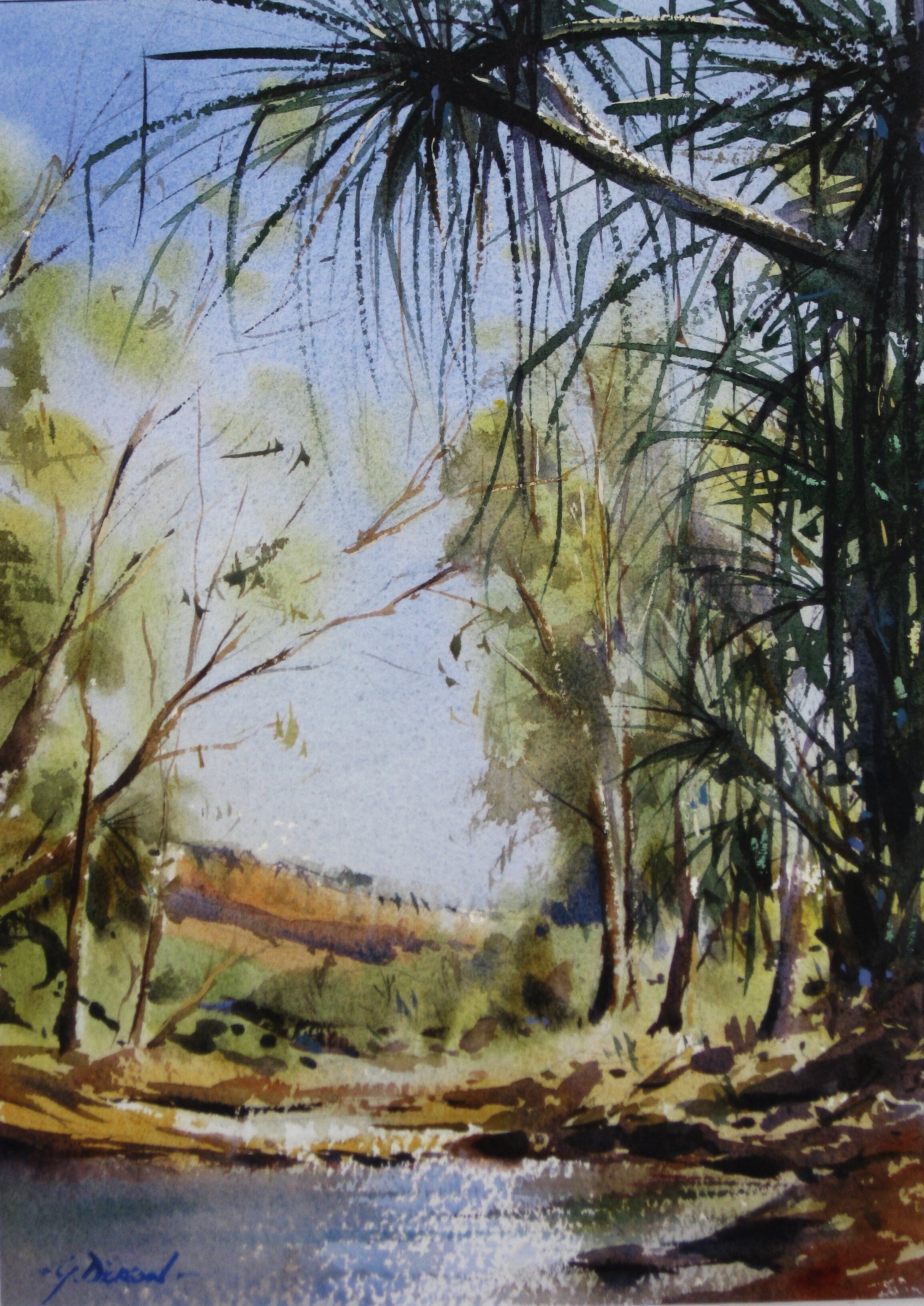 Kimberleys' Billabong.JPG