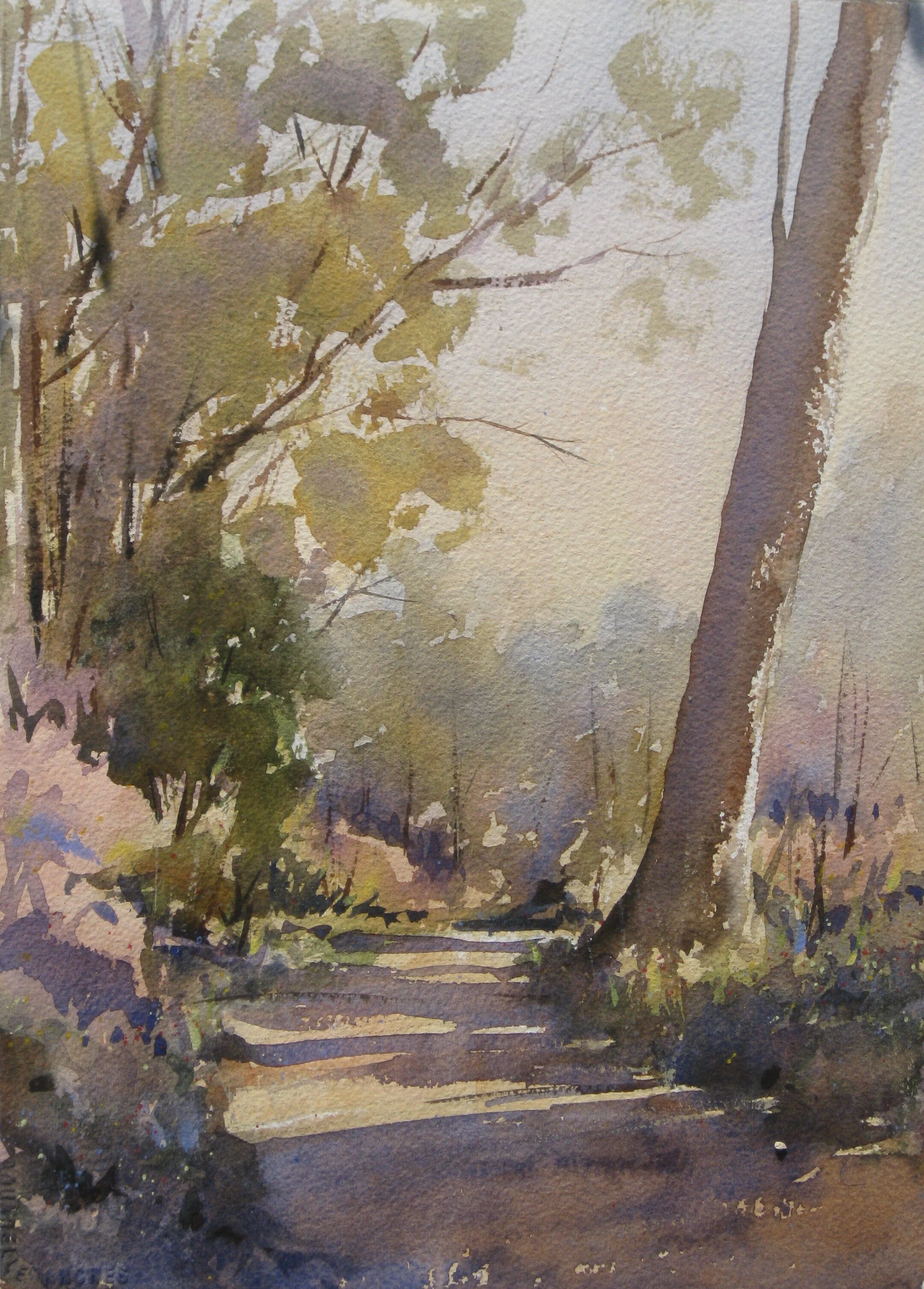 Early Morning Light.JPG