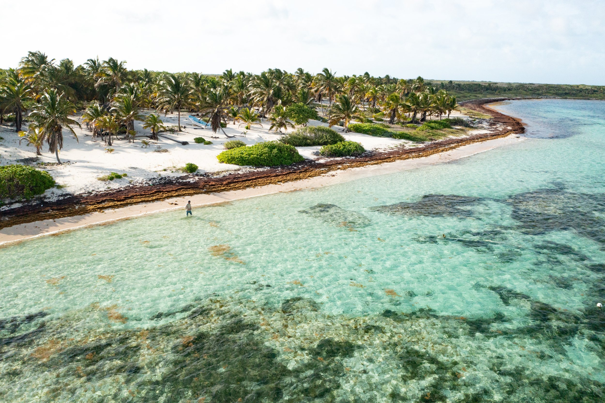 DJI_0974.jpg
