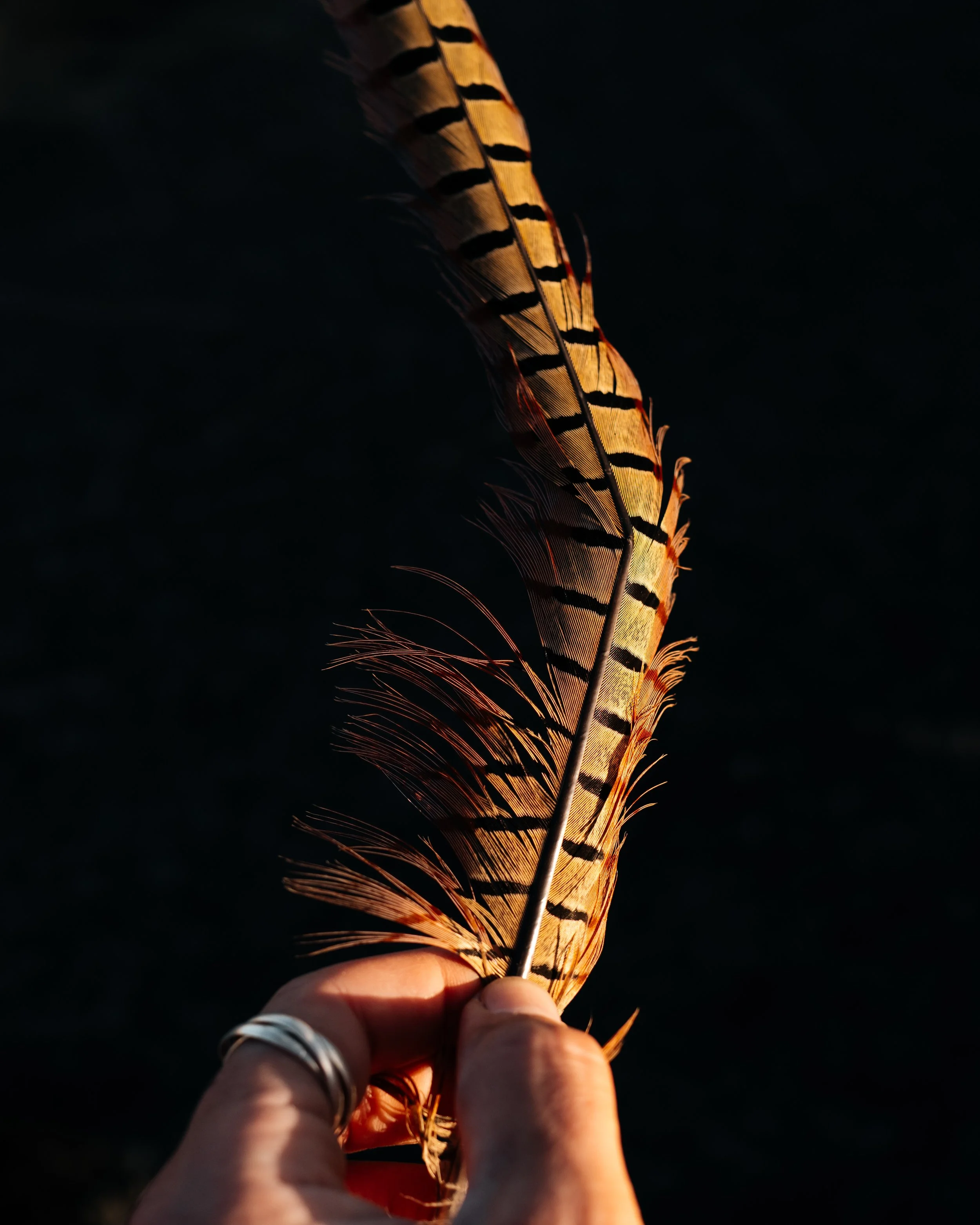 L1050139.jpg