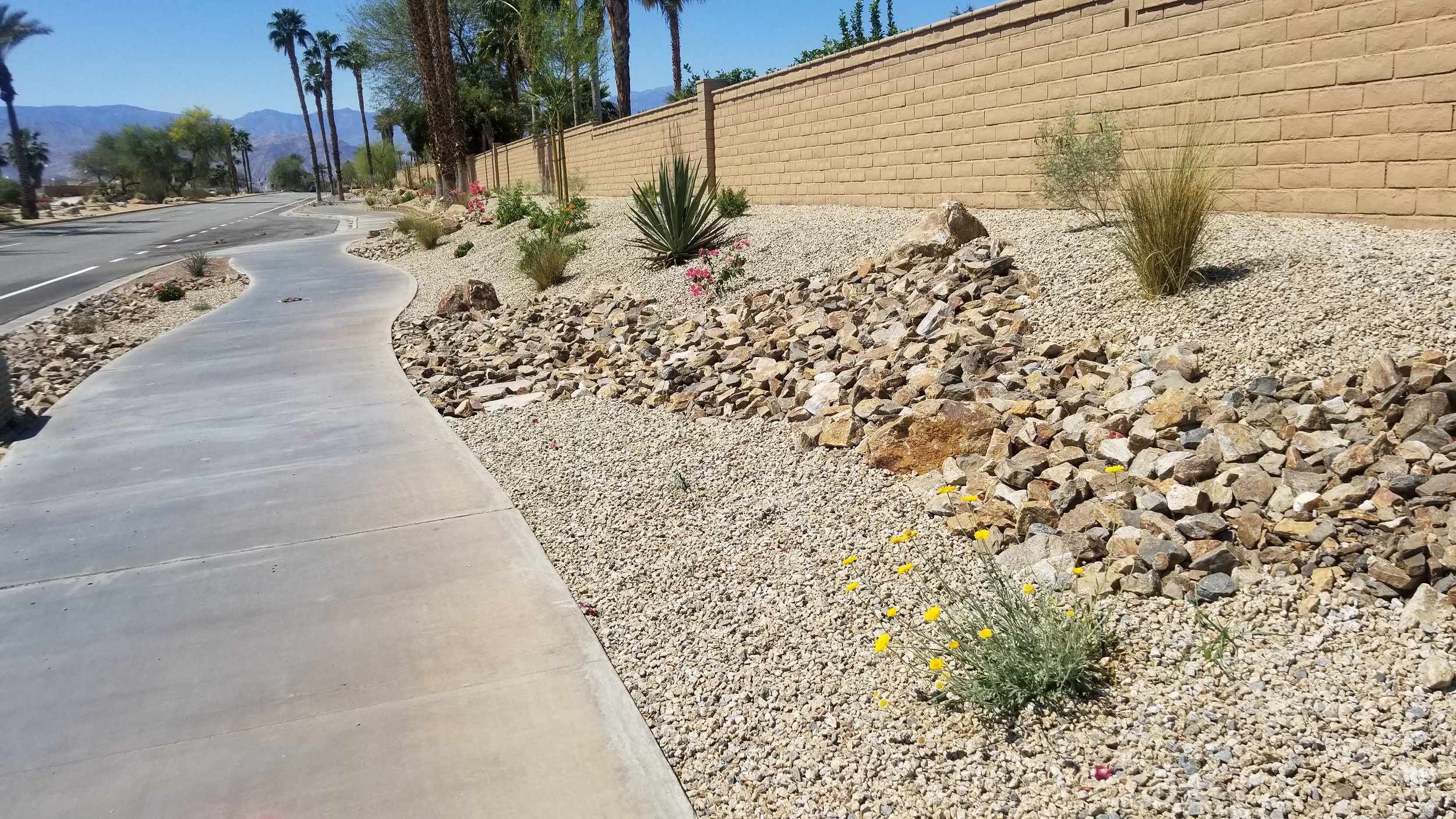 Turf Removal and Streetscapes