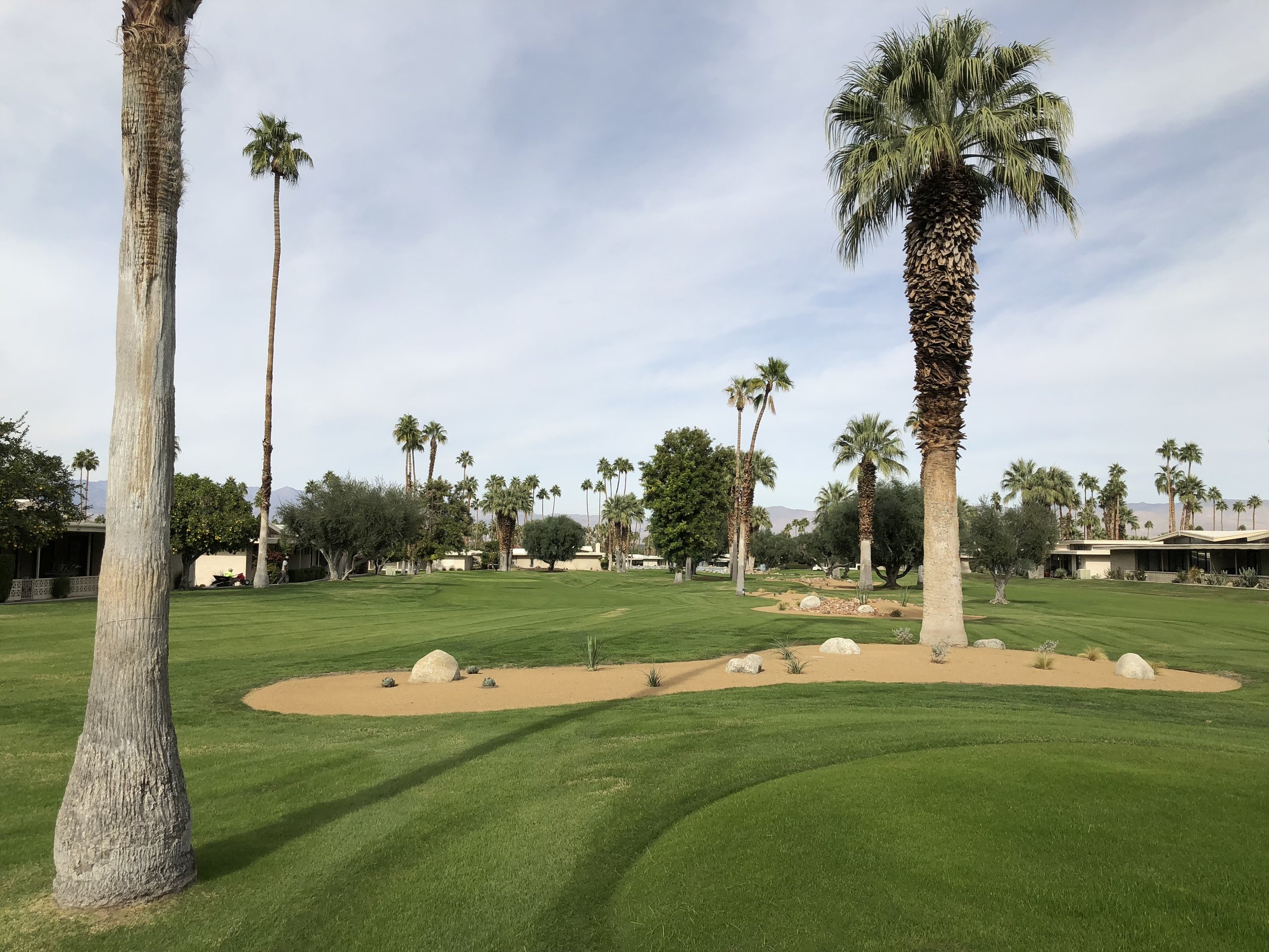 Canyon Estates Golf Course Turf Removal