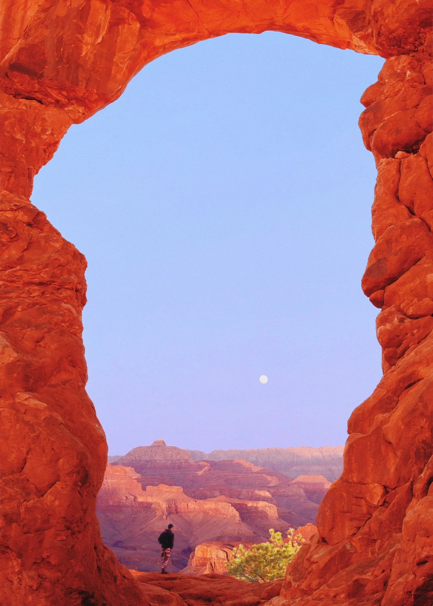DesertDreamscape.JPG