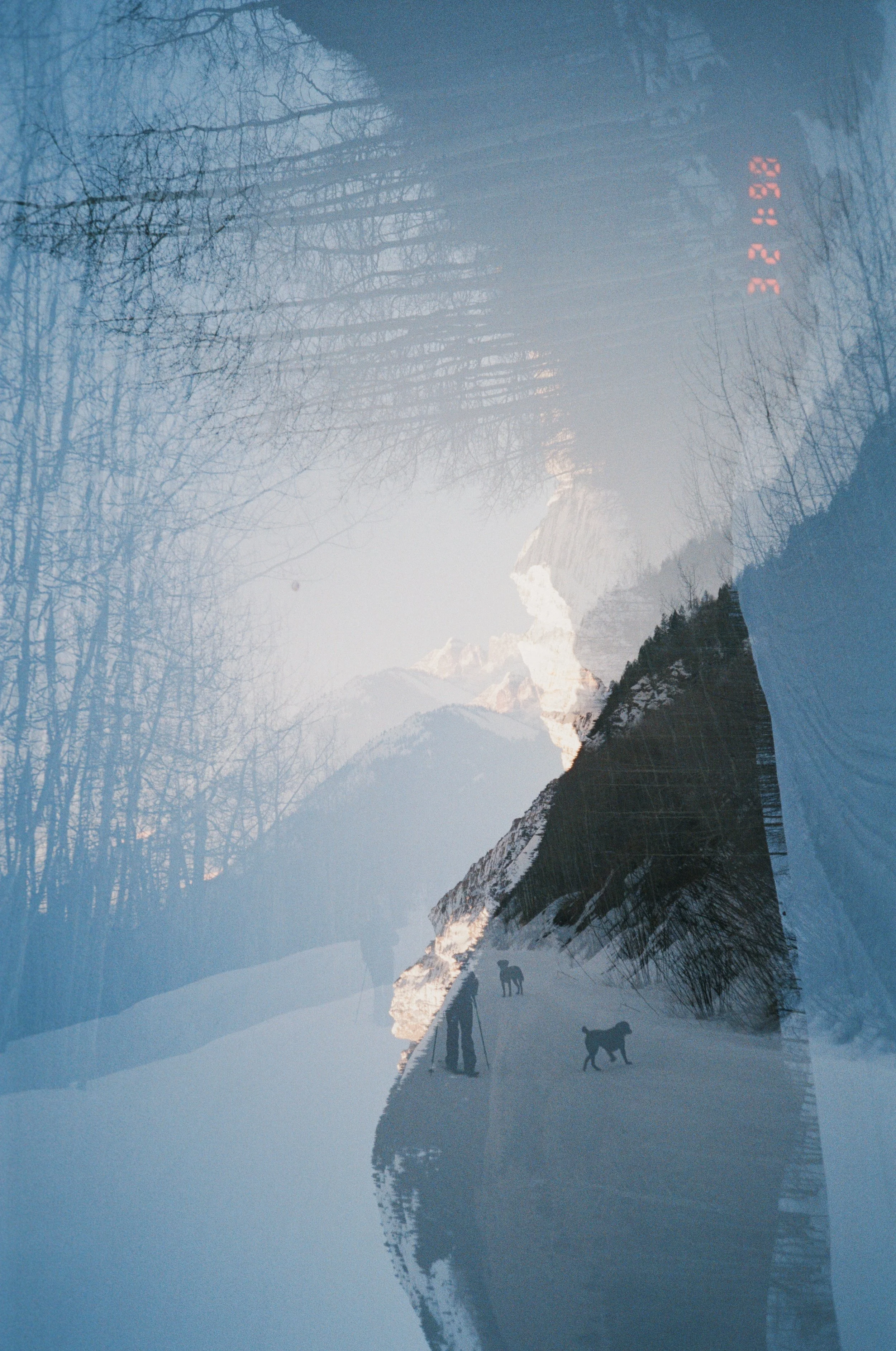 IMG_6462_VSCO 2.jpg