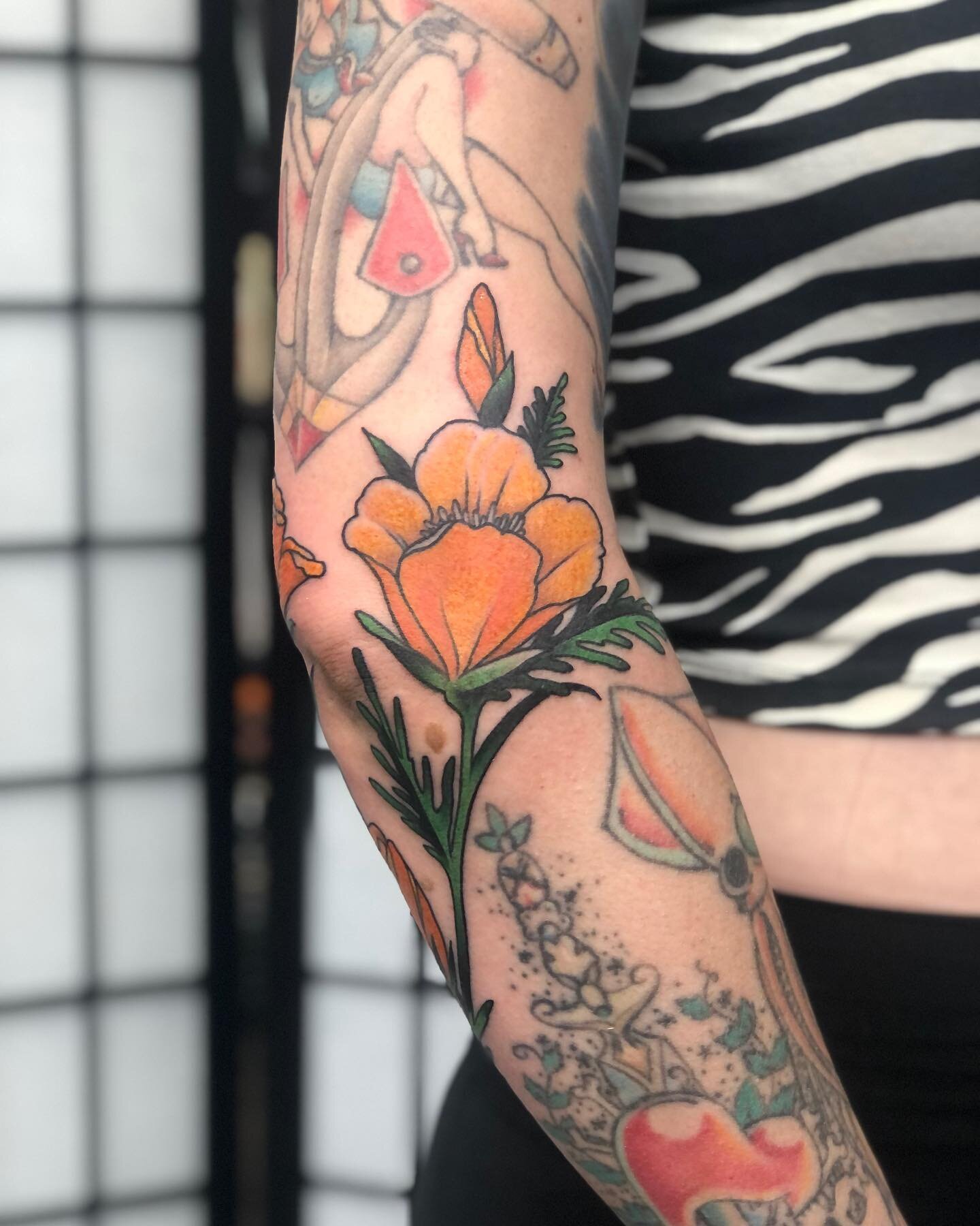 Some California Poppies for Paige. Dankness courtesy of @magic_pigment_co