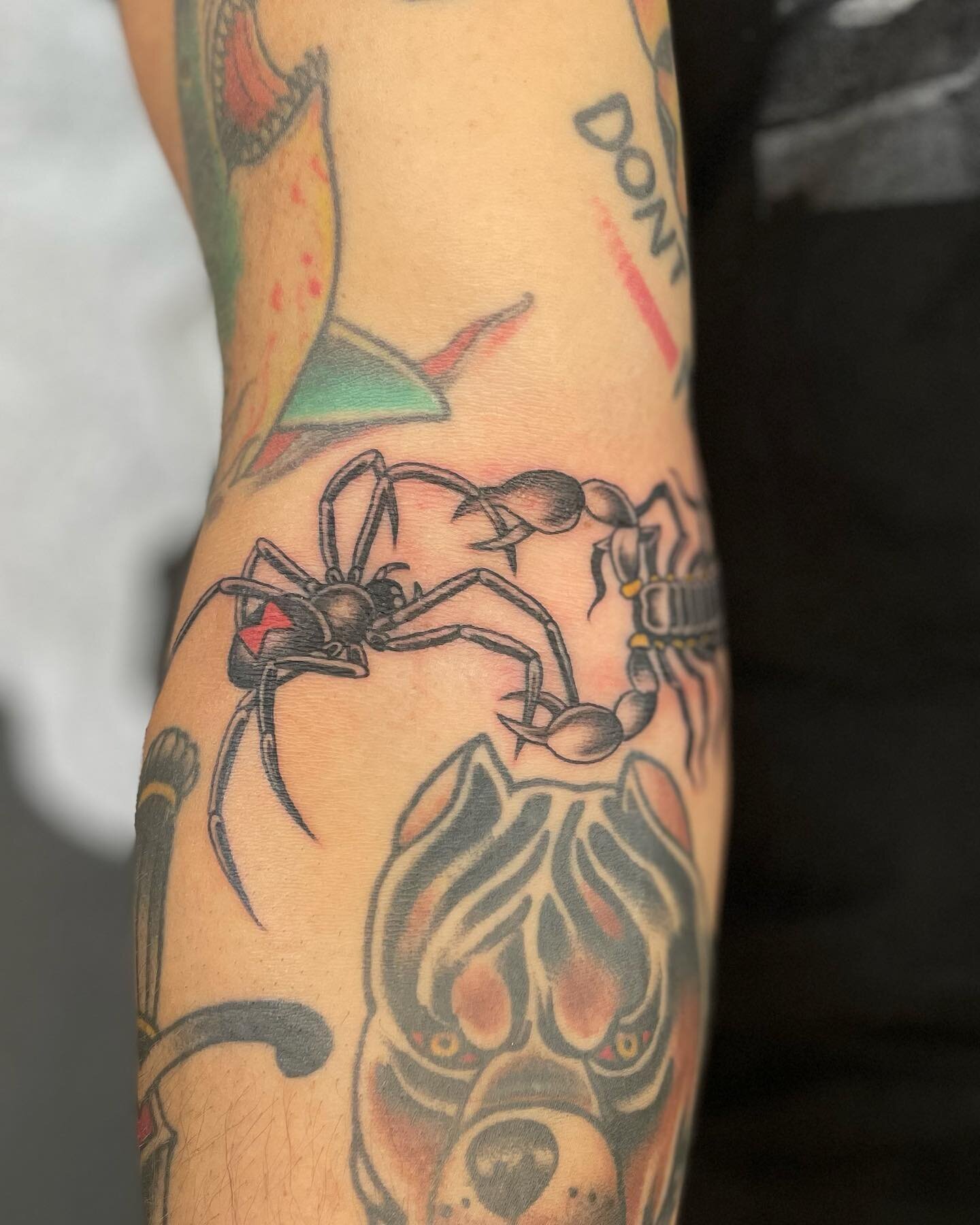 spider n scorpion in the ditch!! other tattoos not done by me 🕷️🦂