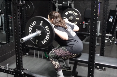 Building a Workout Plan- Exercise Selection