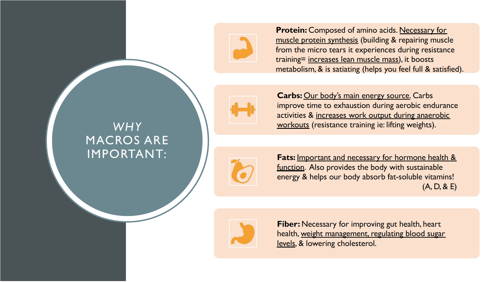 Screen Shot 2024-05-14 at 10.51.42 AM.png