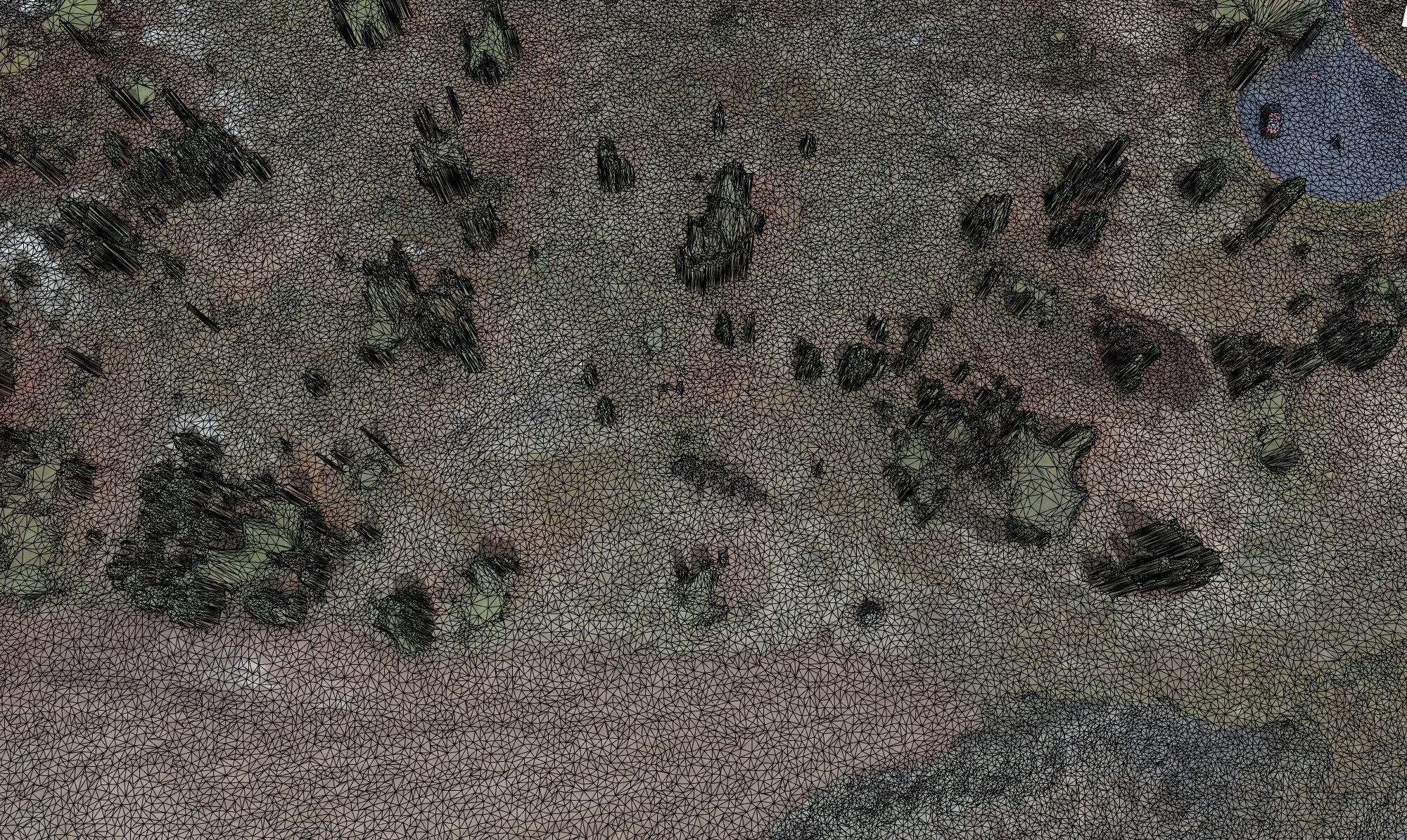 Photogrammetry 2.jpg