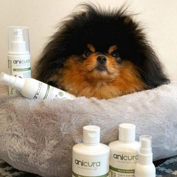 Anicura creates high quality skincare products that will contribute to your pet&rsquo;s health and happiness. All of our products contain naturally proven ingredients which are highly effective. They provide deep hydration and nutrition to encourage 