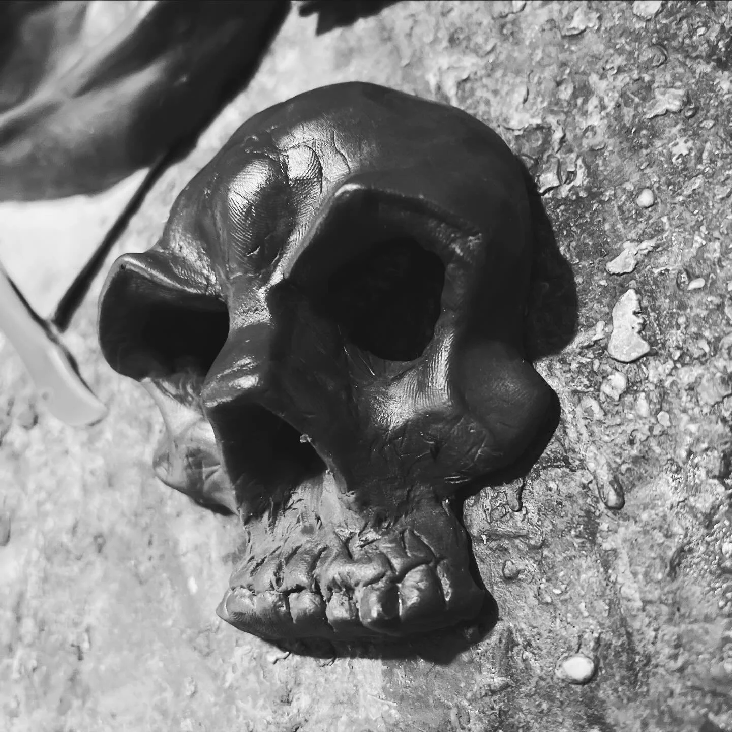 Medusa&rsquo;s belt buckle is almost complete. 
.
.
#medusa #skull #skullart #sculpture #sculptor #mythology #gorgon #gorgan #monster #percyjacksonandtheolympians #femmefatale👑 #greek