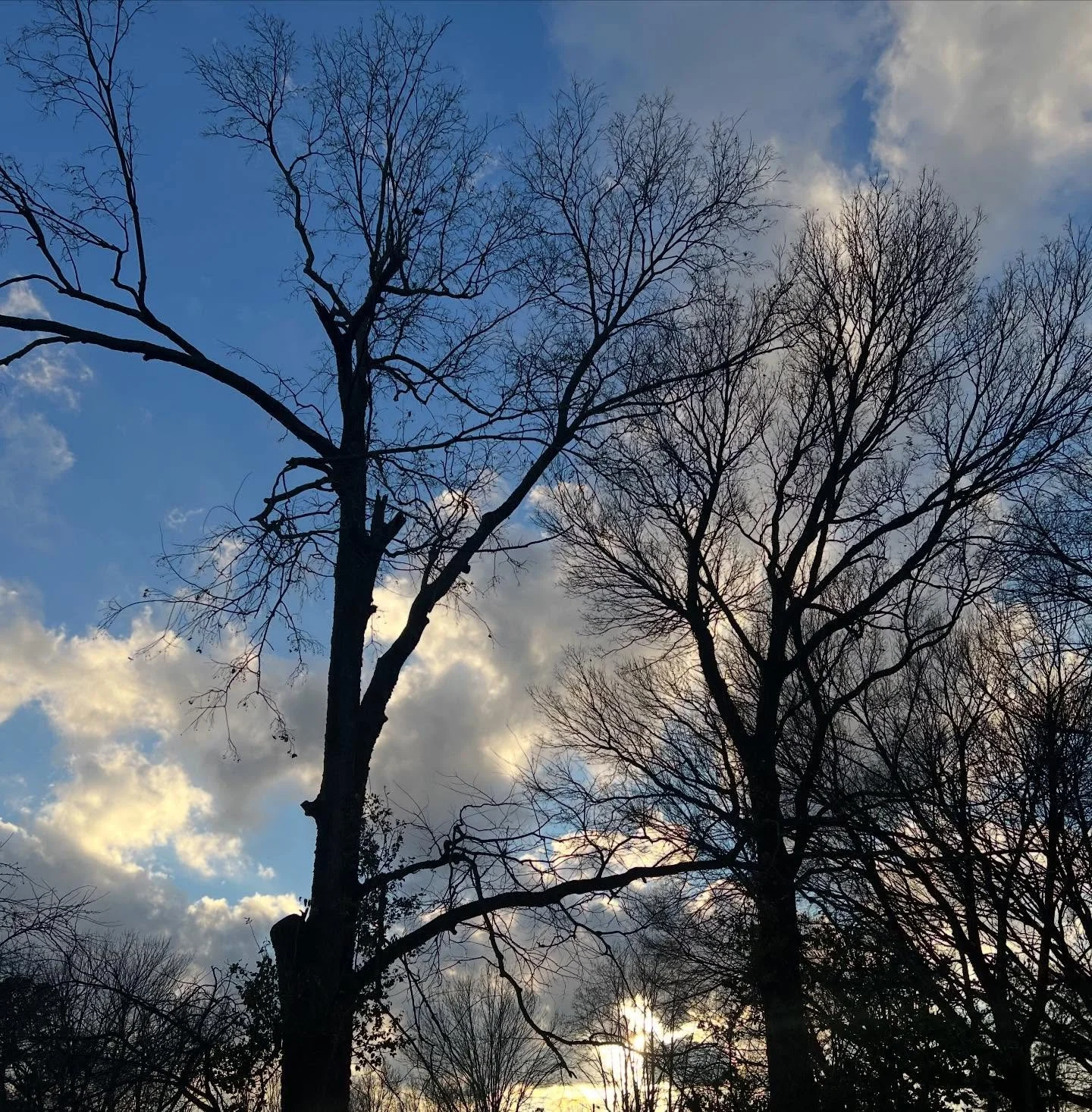 Incredible storm, beautiful sunset. 
.
.
#naturalstate #photography #filthyhorrorsdotcom