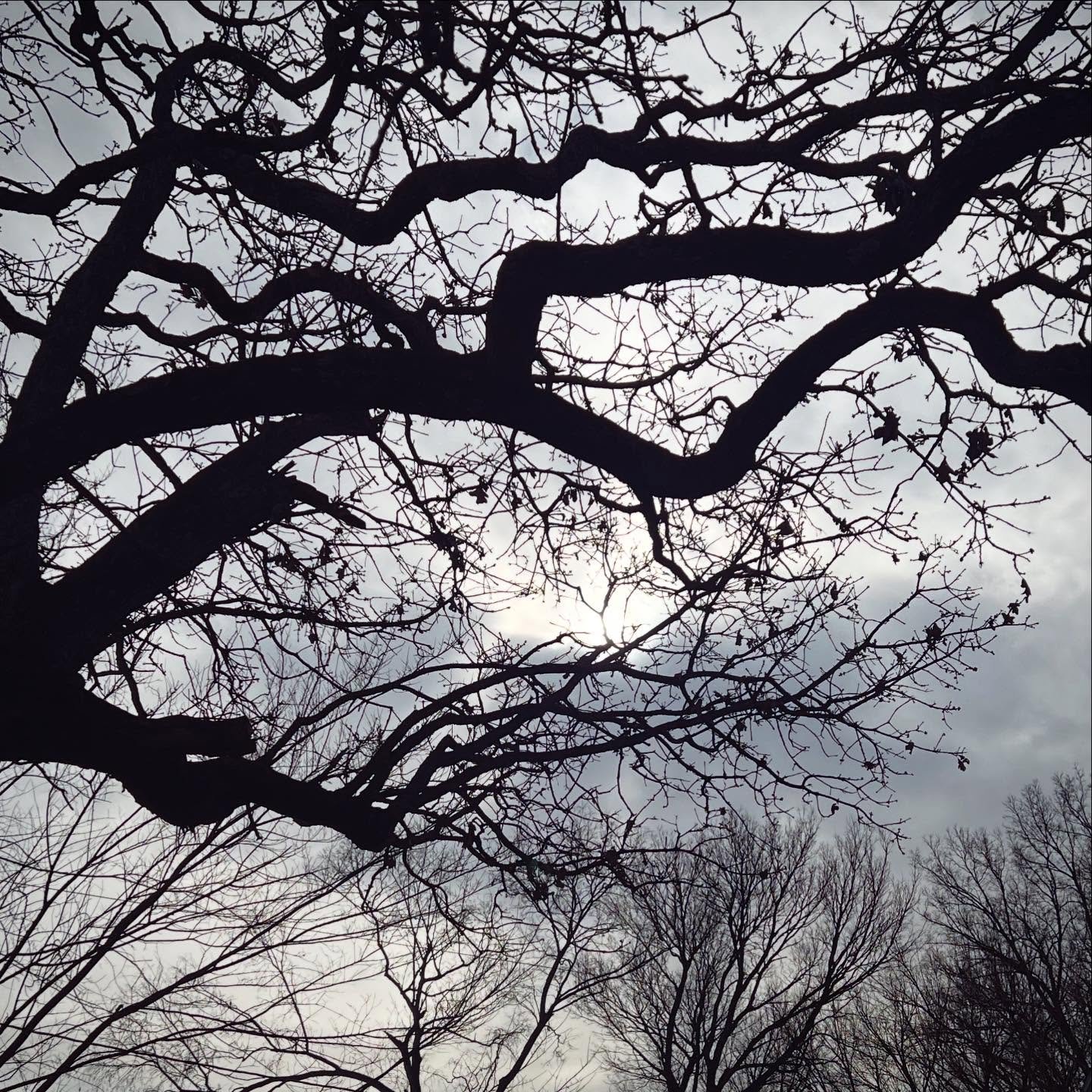 Ghost lights?
.
.
#clouds #photography #filthyhorrorsdotcom