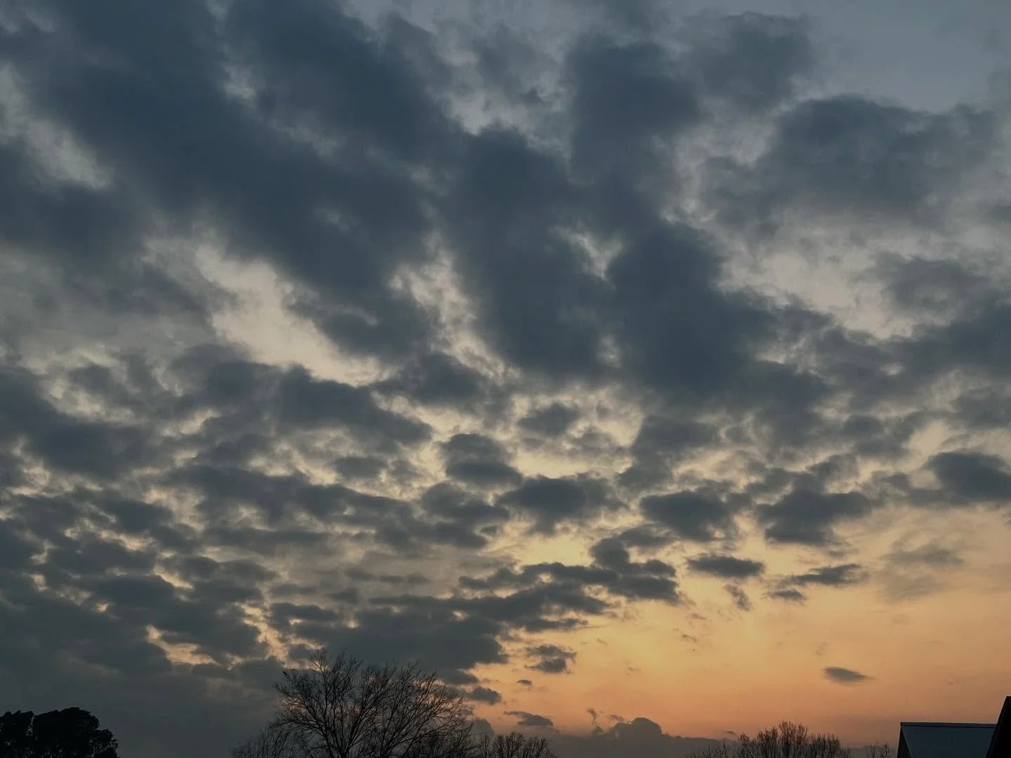 Looked up on my walk tonight 
.
.
#clouds #sunset #photography #naturalstate