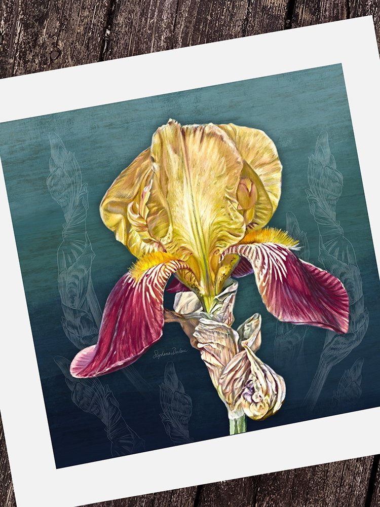 【真作】【複製】複製画　P.F.A. JAPAN ’93　抽象花図　C114 Fine Art Print: Purple Hydrangea — Stephanie Darlene