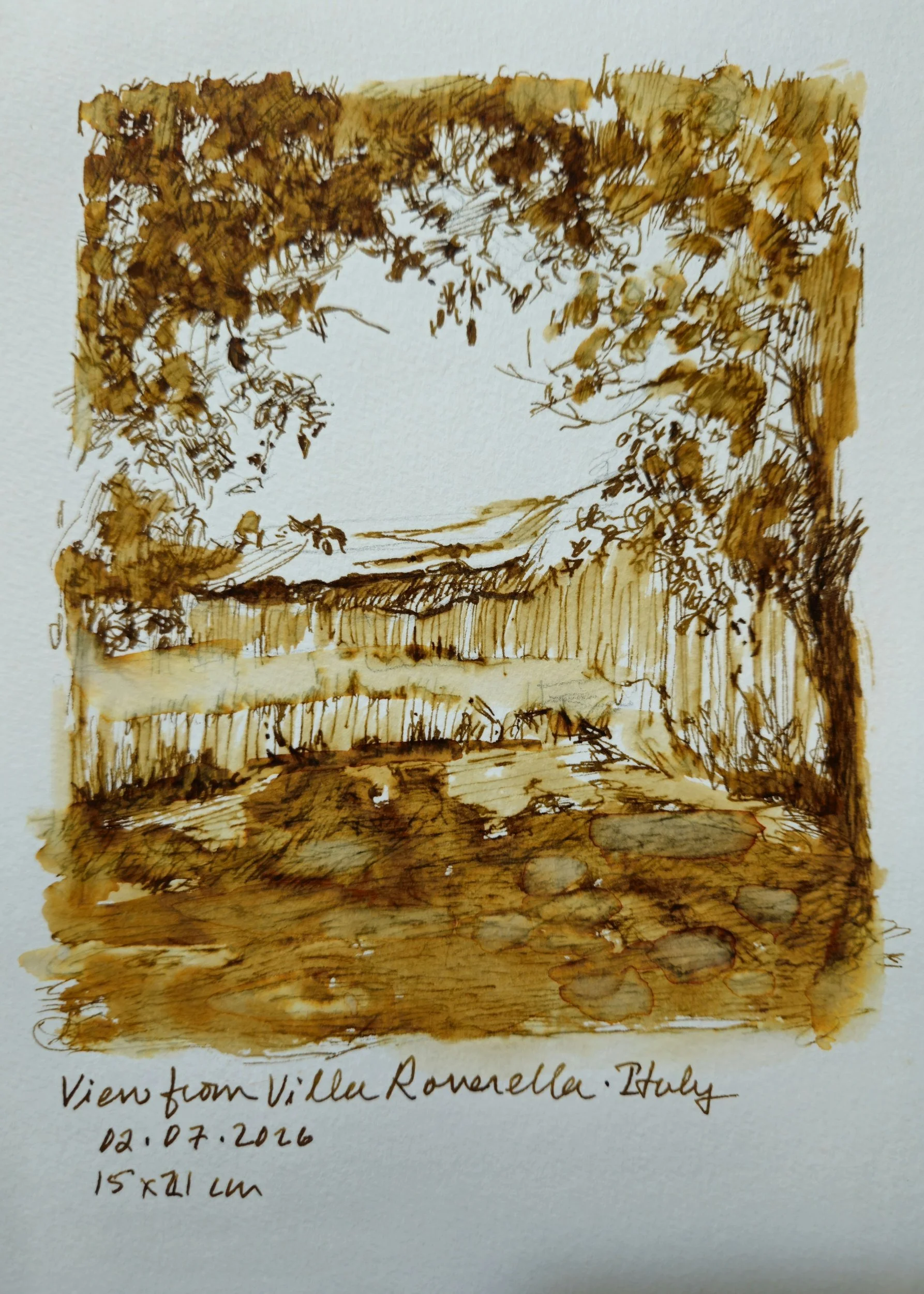 View from Villa Rovella, 2026. Sepia pen and ink sketch on watercolor paper, 21 x 15 cm.