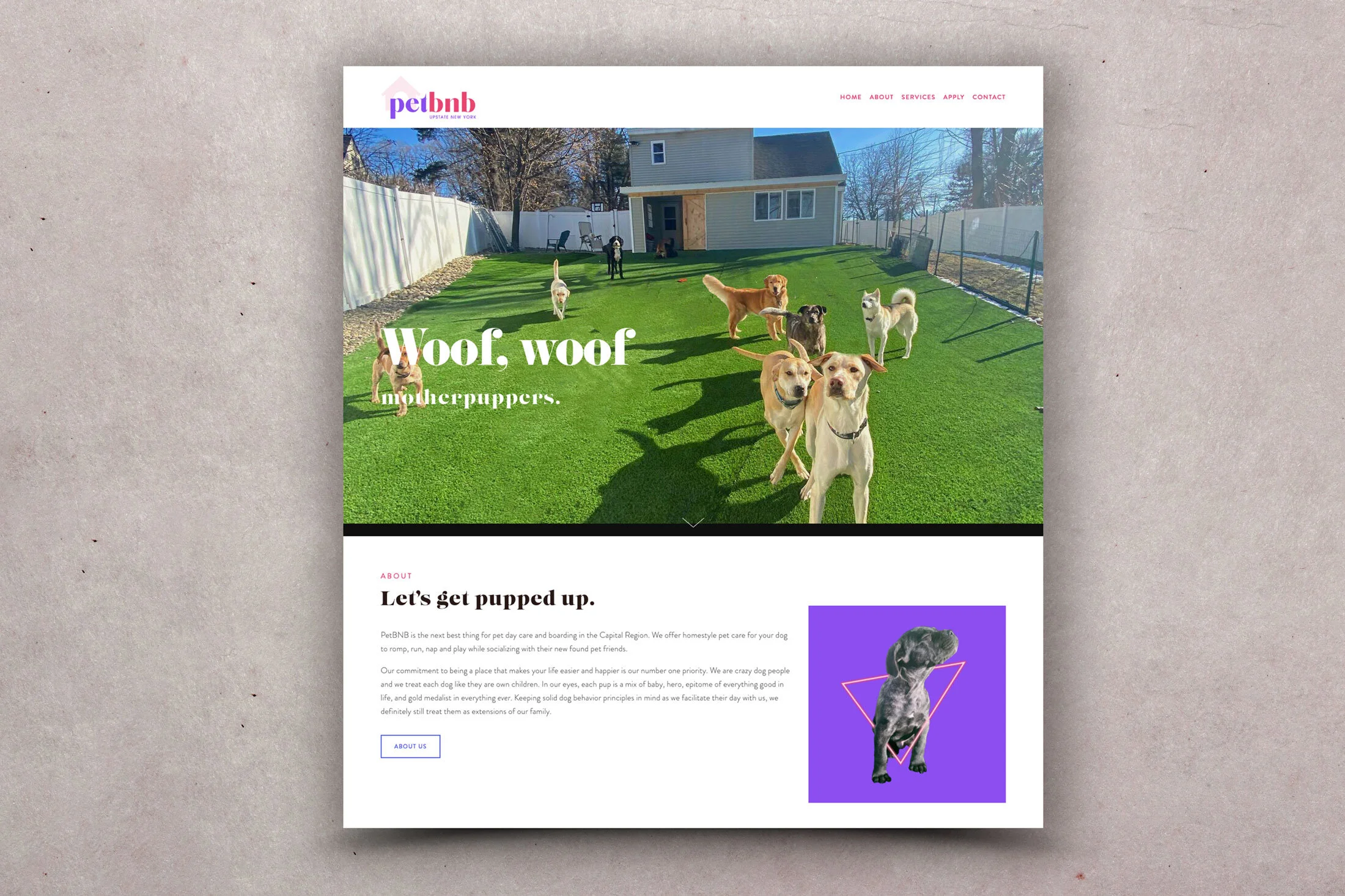 PetBNB-Home---Web.jpg