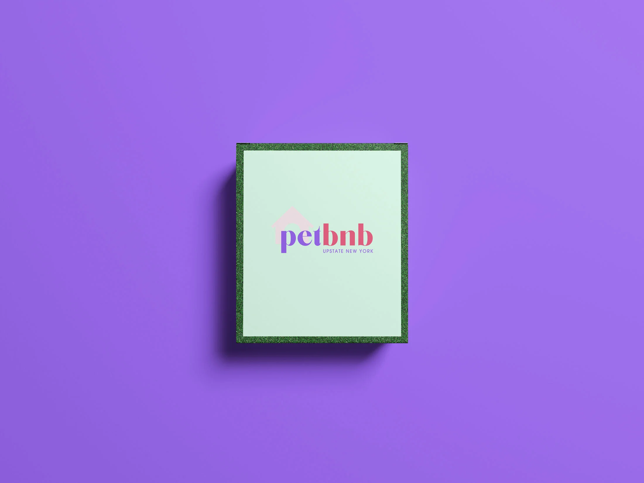 PetBNB-Box---Web-Sized.jpg