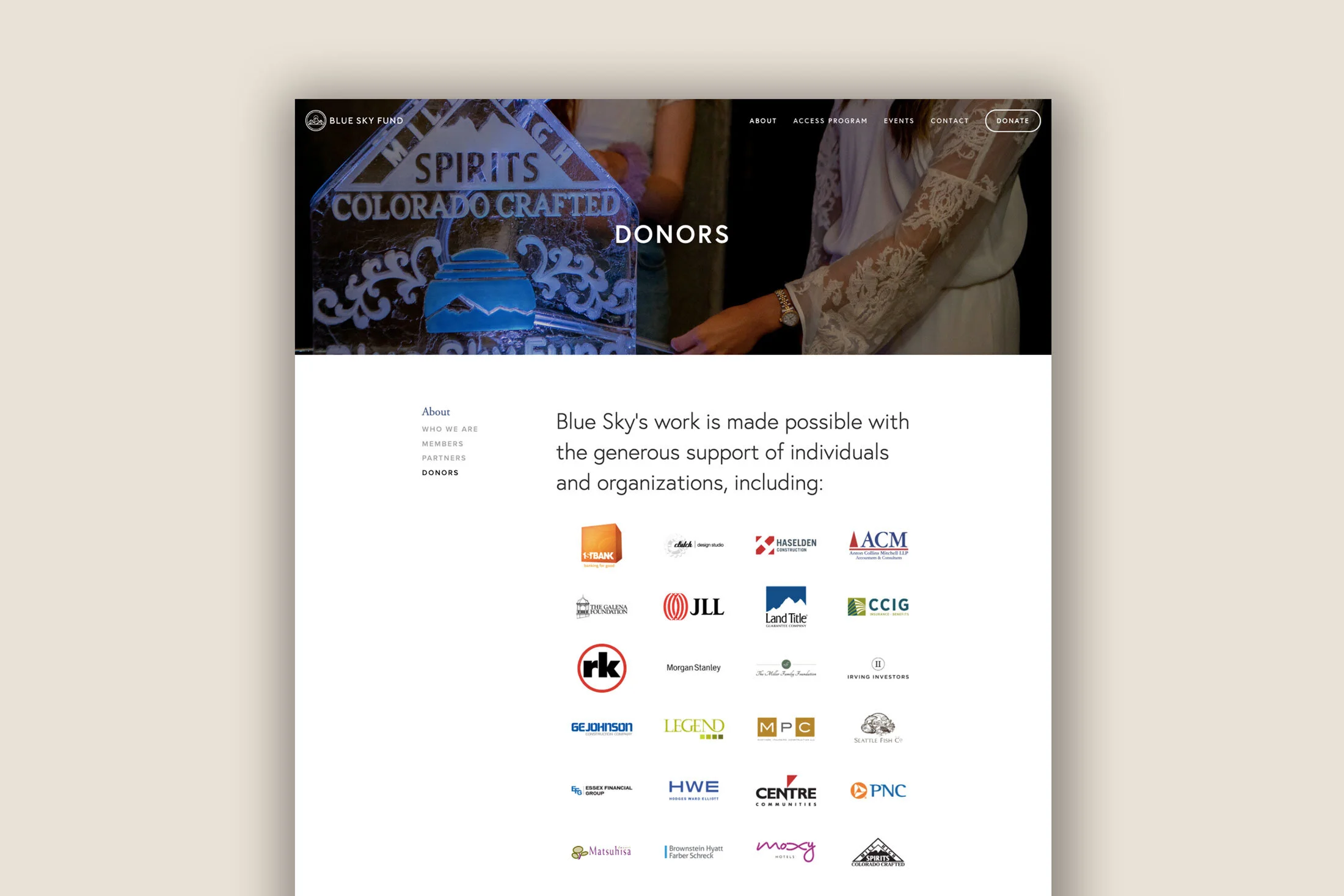 bsf-donors---web-size.jpeg