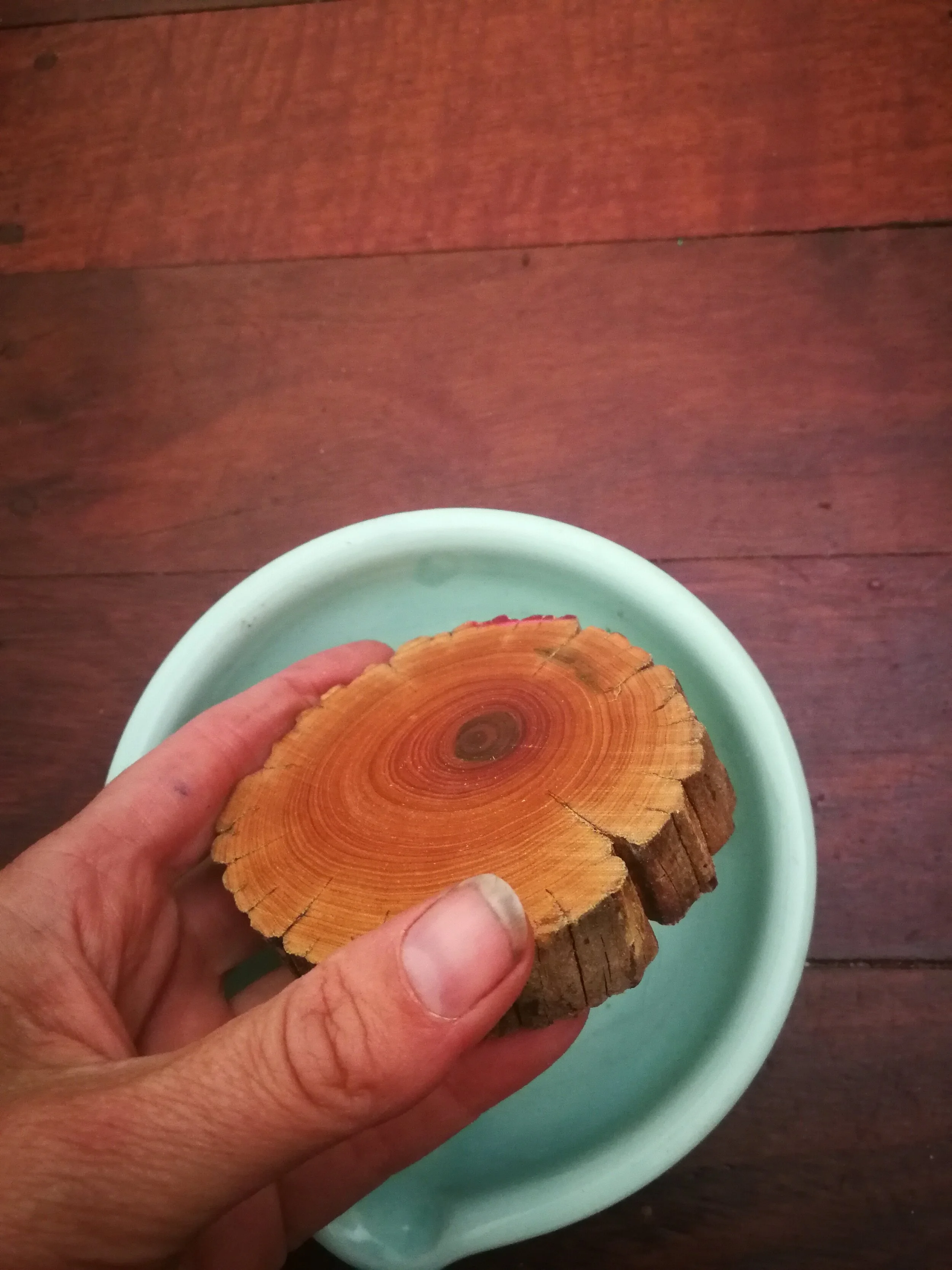 SandalwoodRoundMedium.jpg