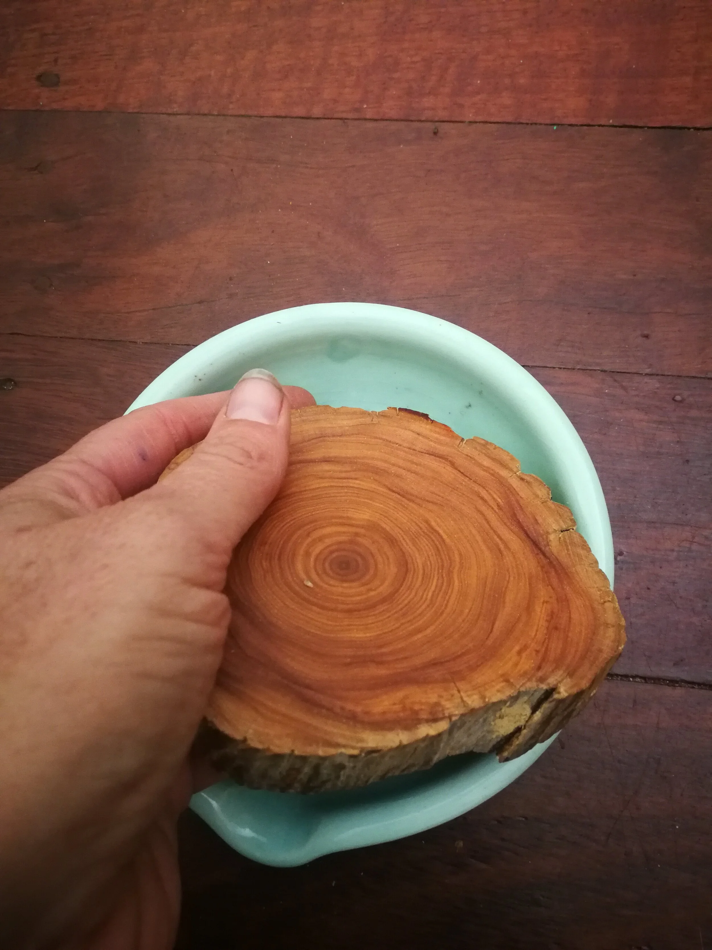 Sandalwood Disc - Large size