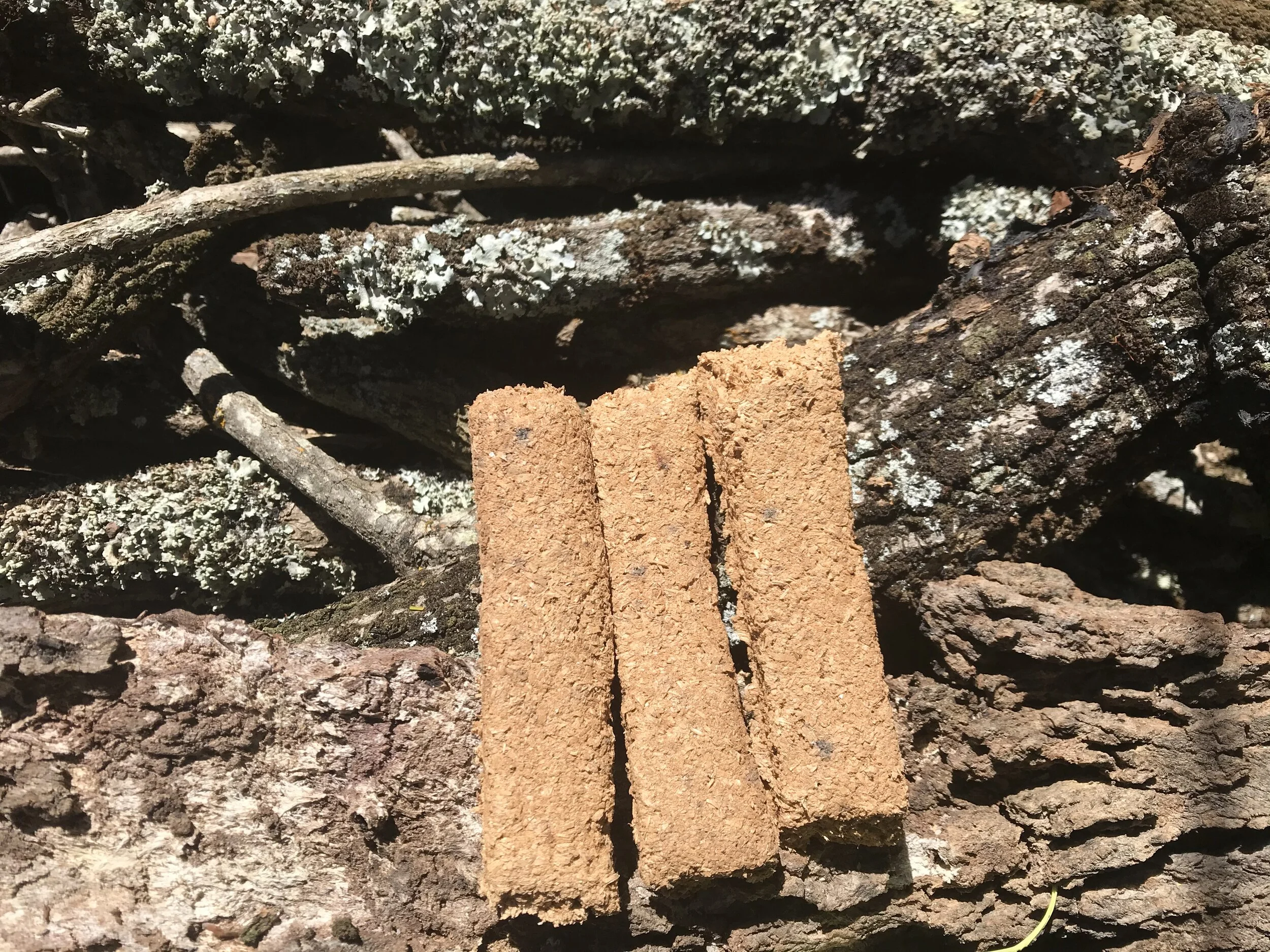 Oak ; Australian Oak & WA Sandalwood - 3 planks HANDMADE INCENSE