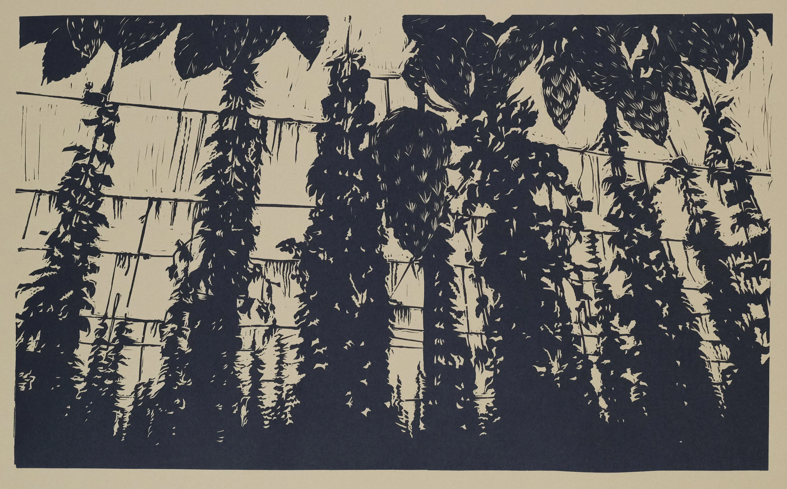 DSCF1850.jpg