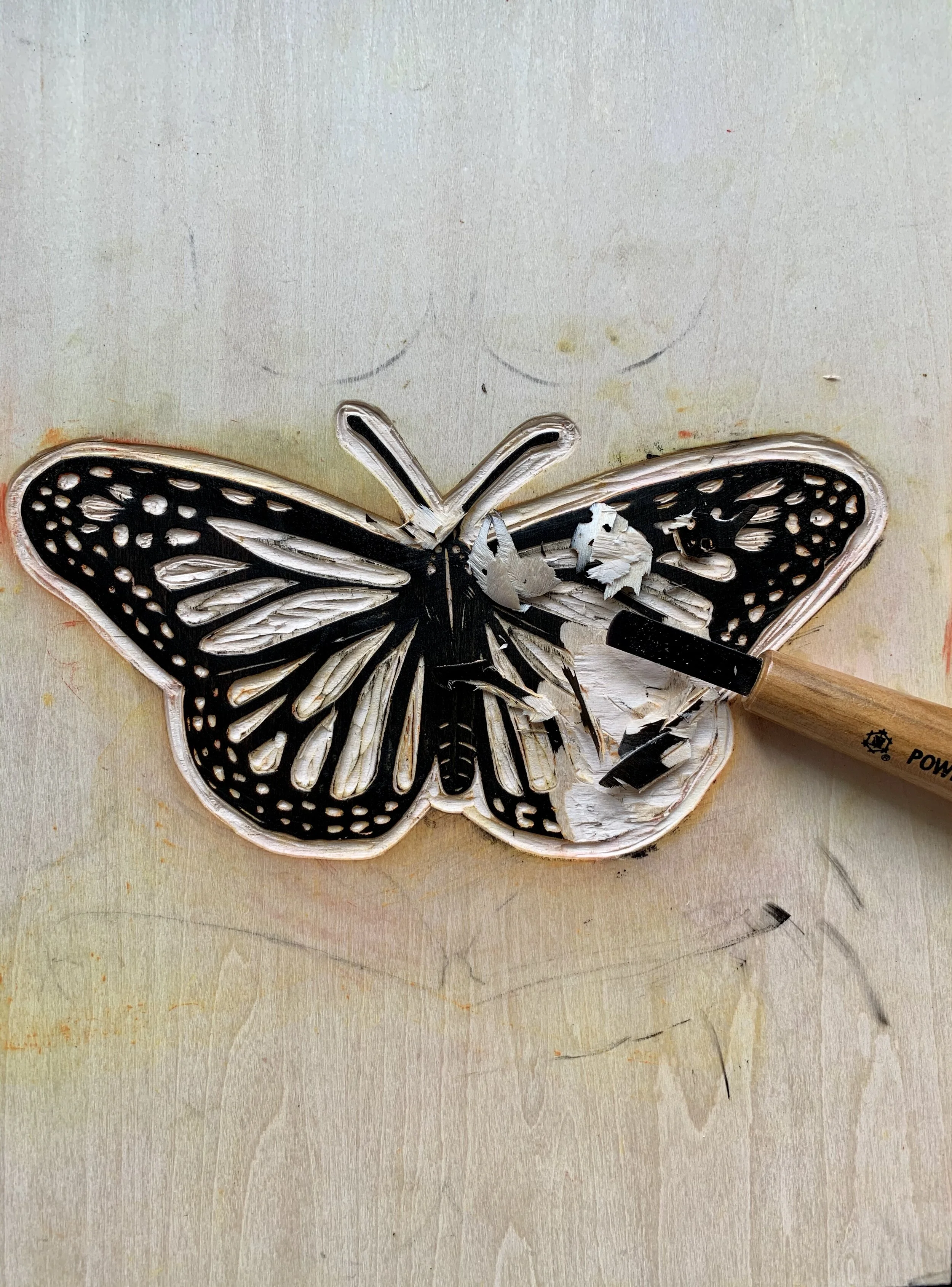 9A9EBBCA-85B8-4B5E-B36A-EEBE1C76FB1C