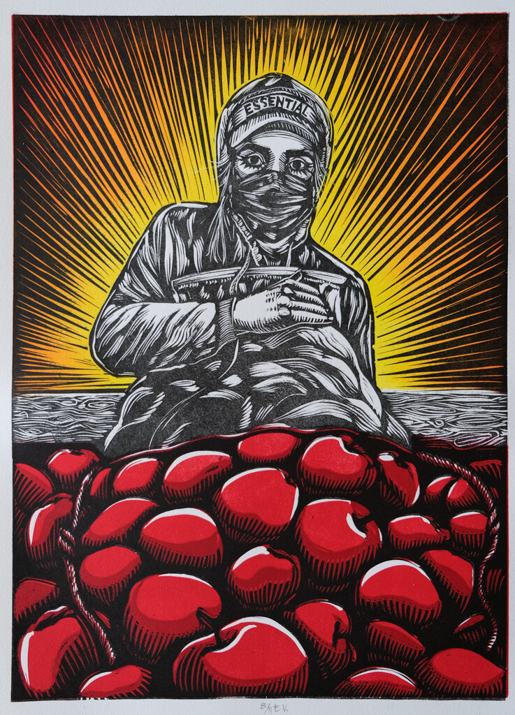 Apples 8_11.jpg