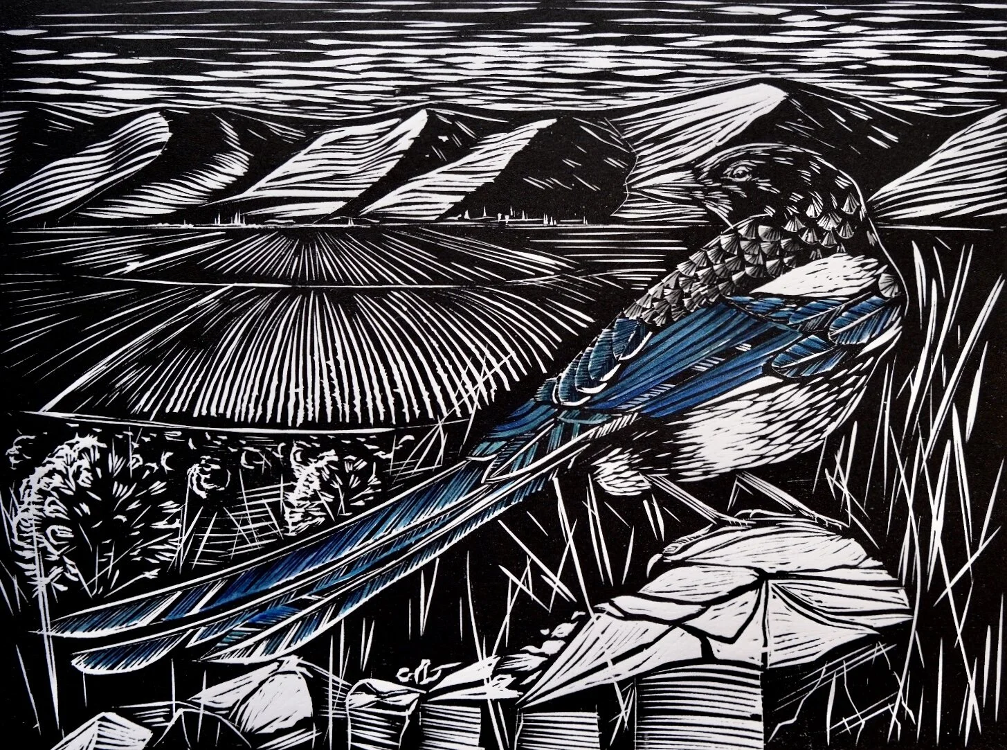 516C7C10-33D1-4401-9491-B4E744ACD471