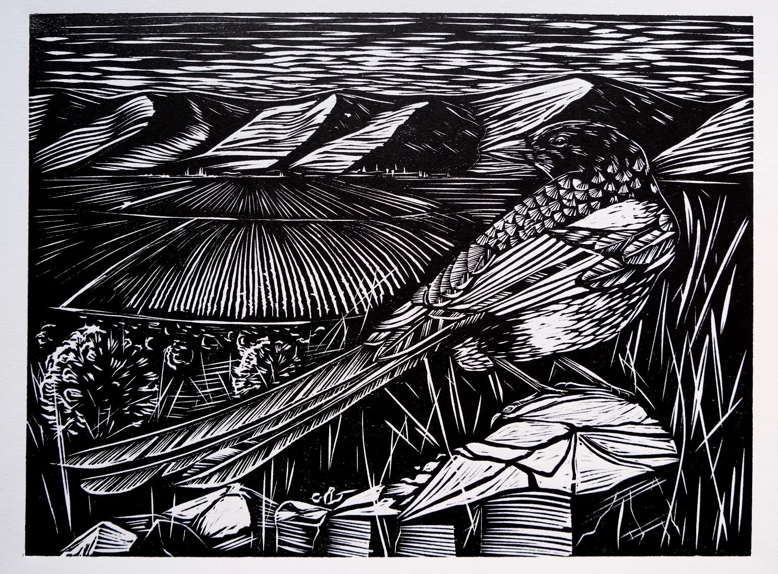 D28D9446-47CE-4512-BBF1-E51EE18815C2