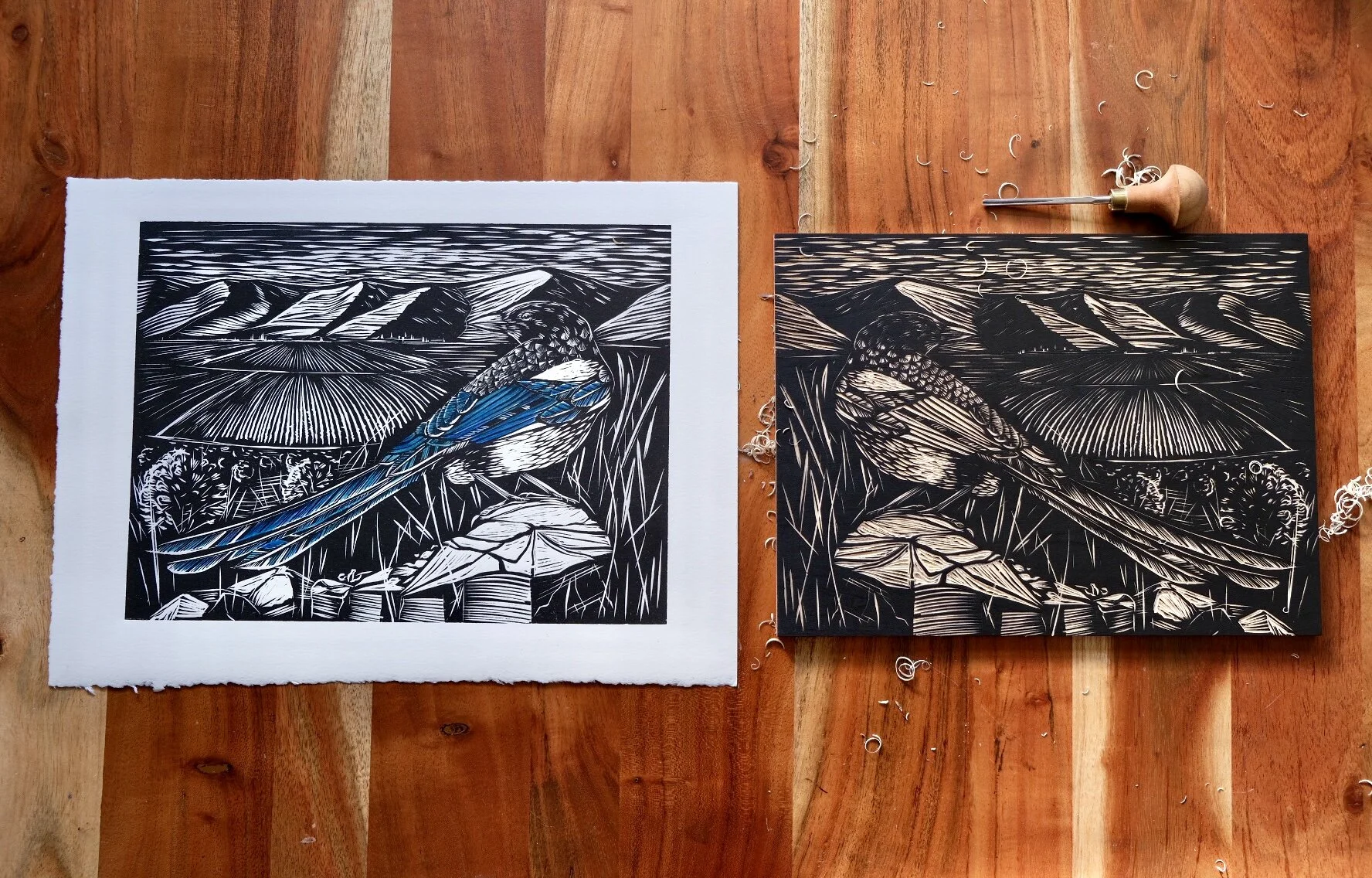 28F49437-5BFB-427D-AAD8-019F76142FC5