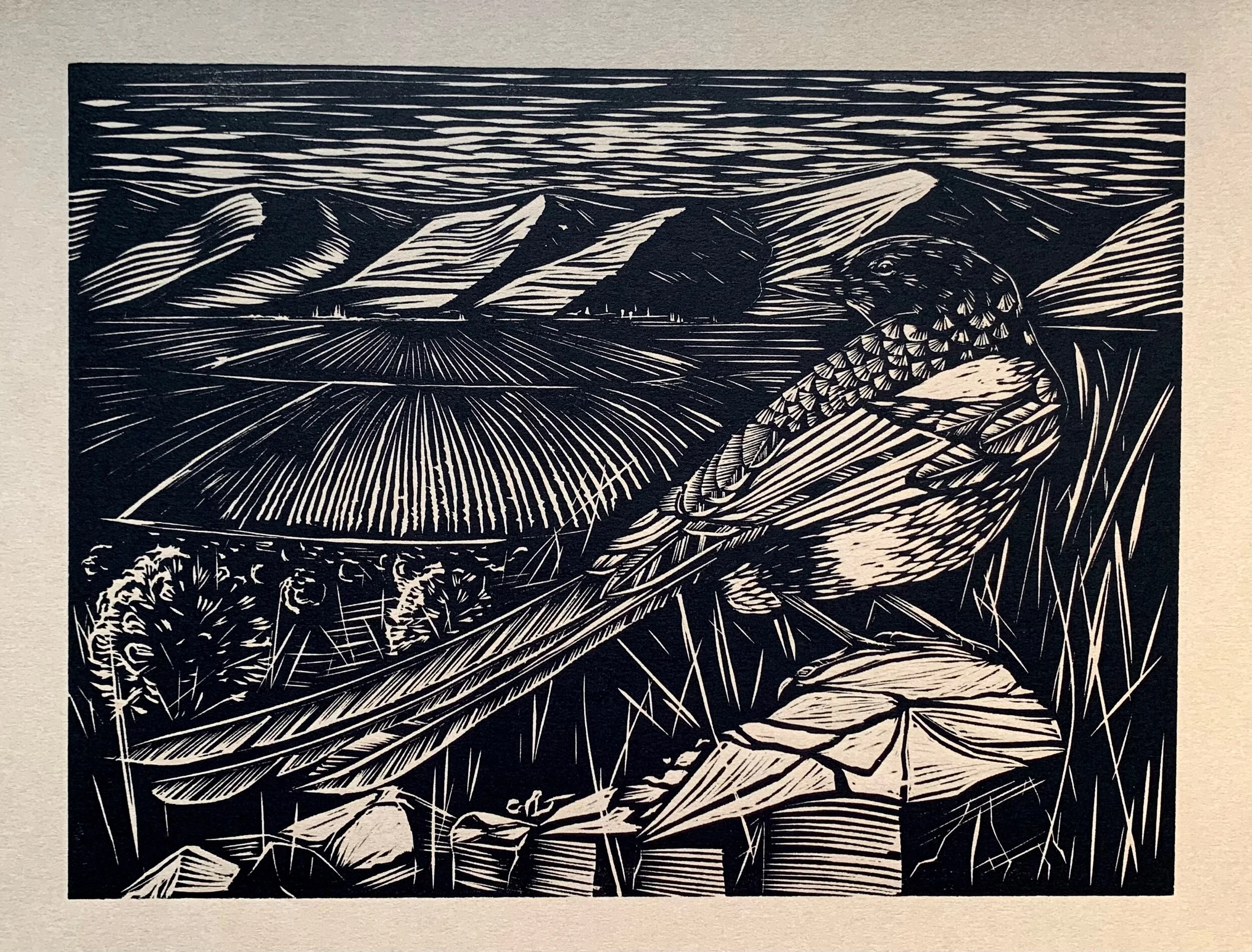 E1B85815-F7A3-4E0D-9DCA-5C4149F51632