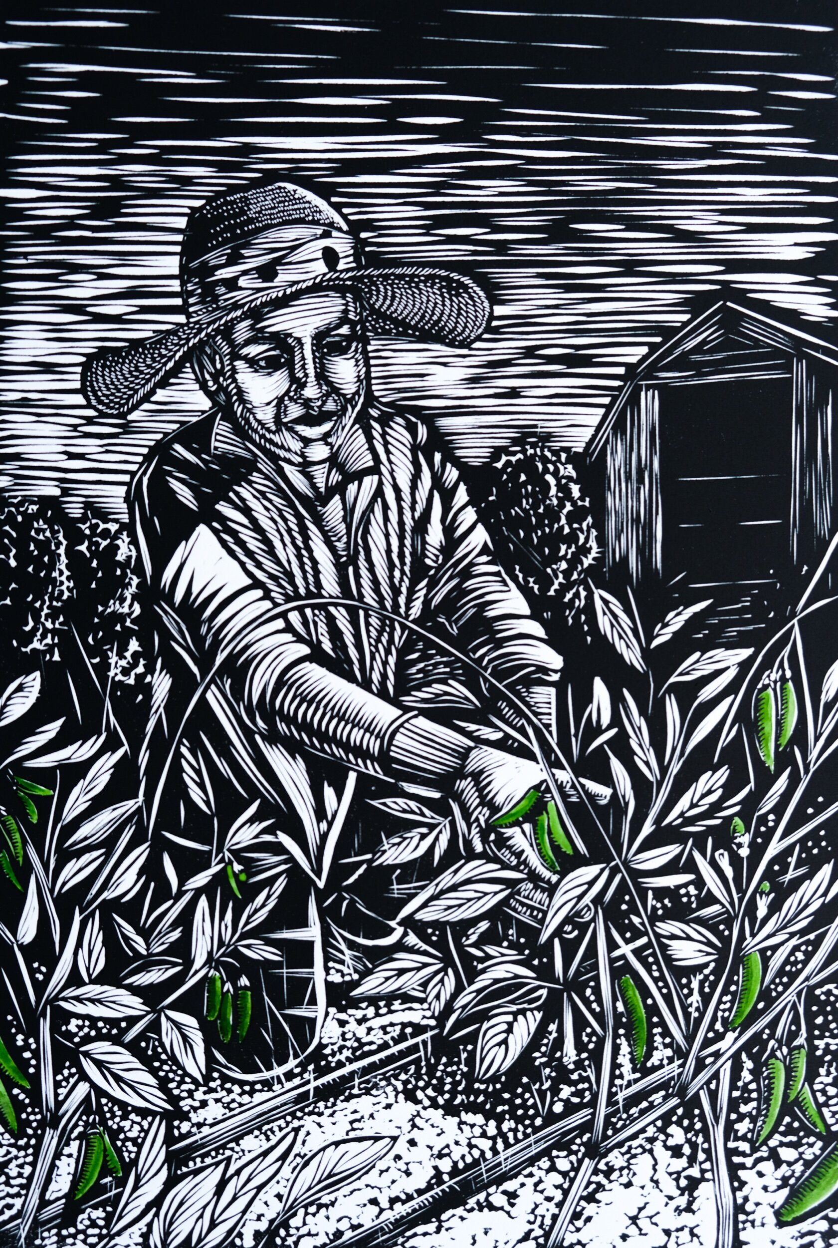 FA611B3F-1BEB-4554-B362-784A99D8F8D6