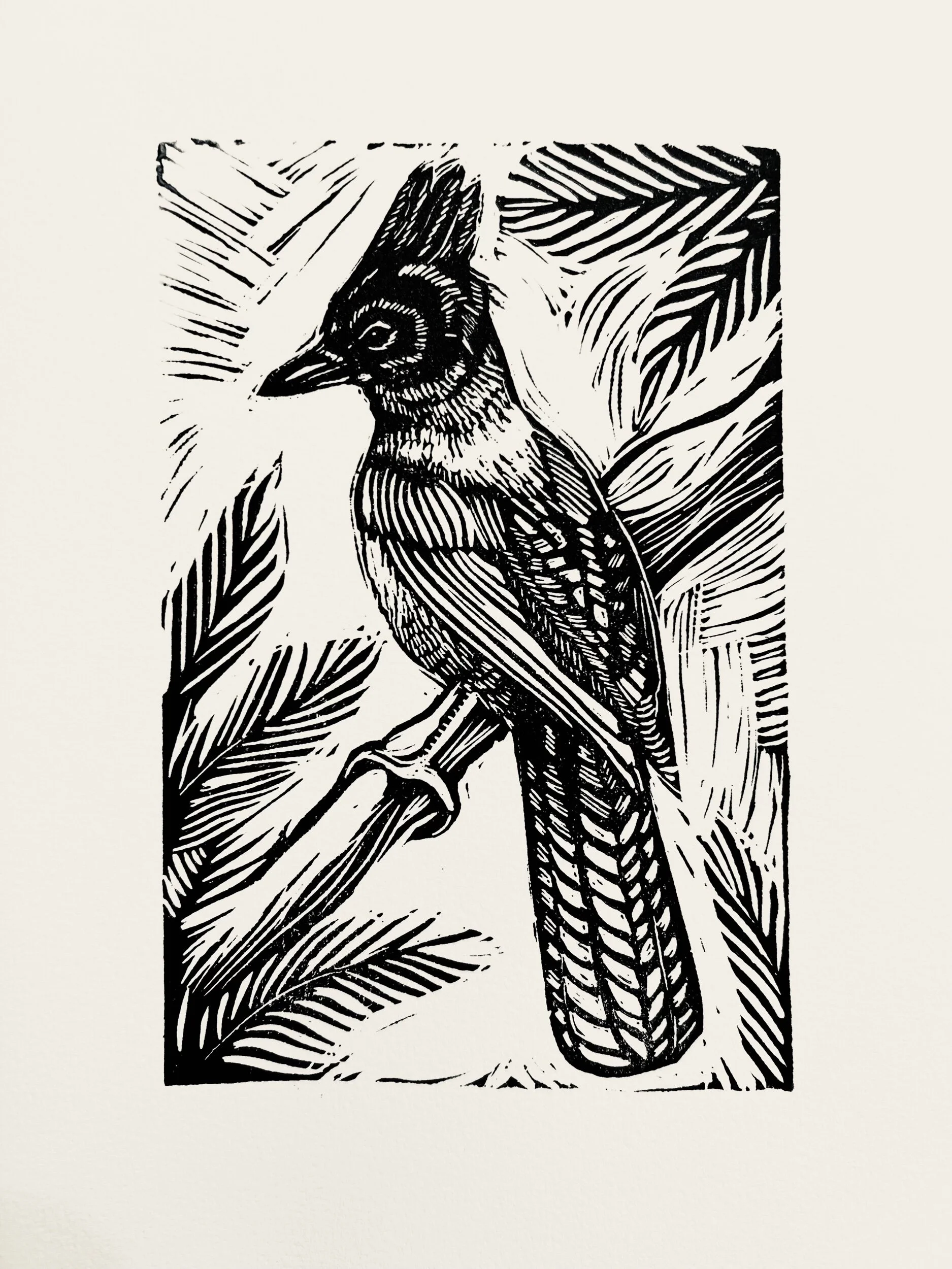 829571E7-73EE-4754-86E4-FE4202B970B6