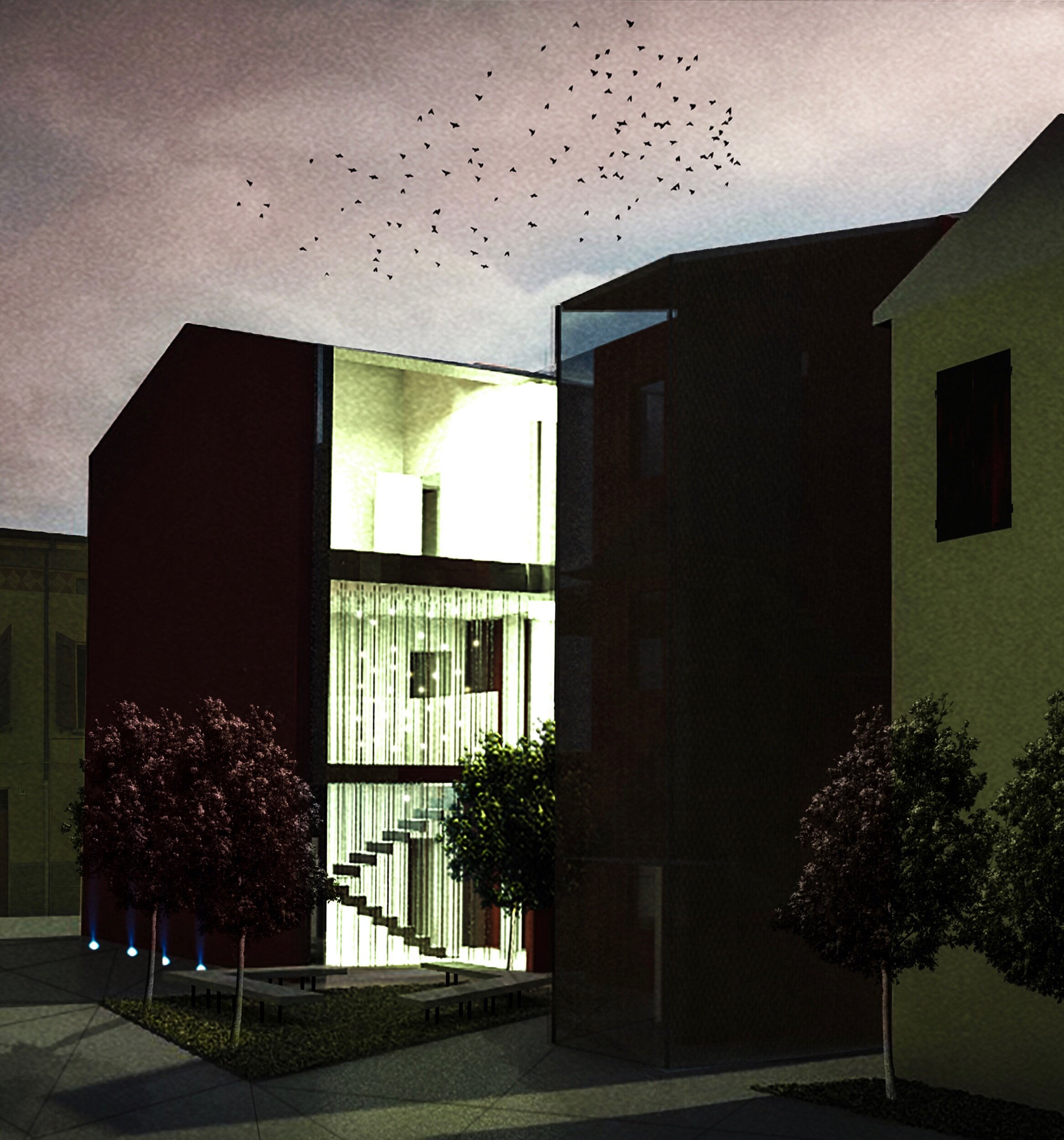 Casa Graft