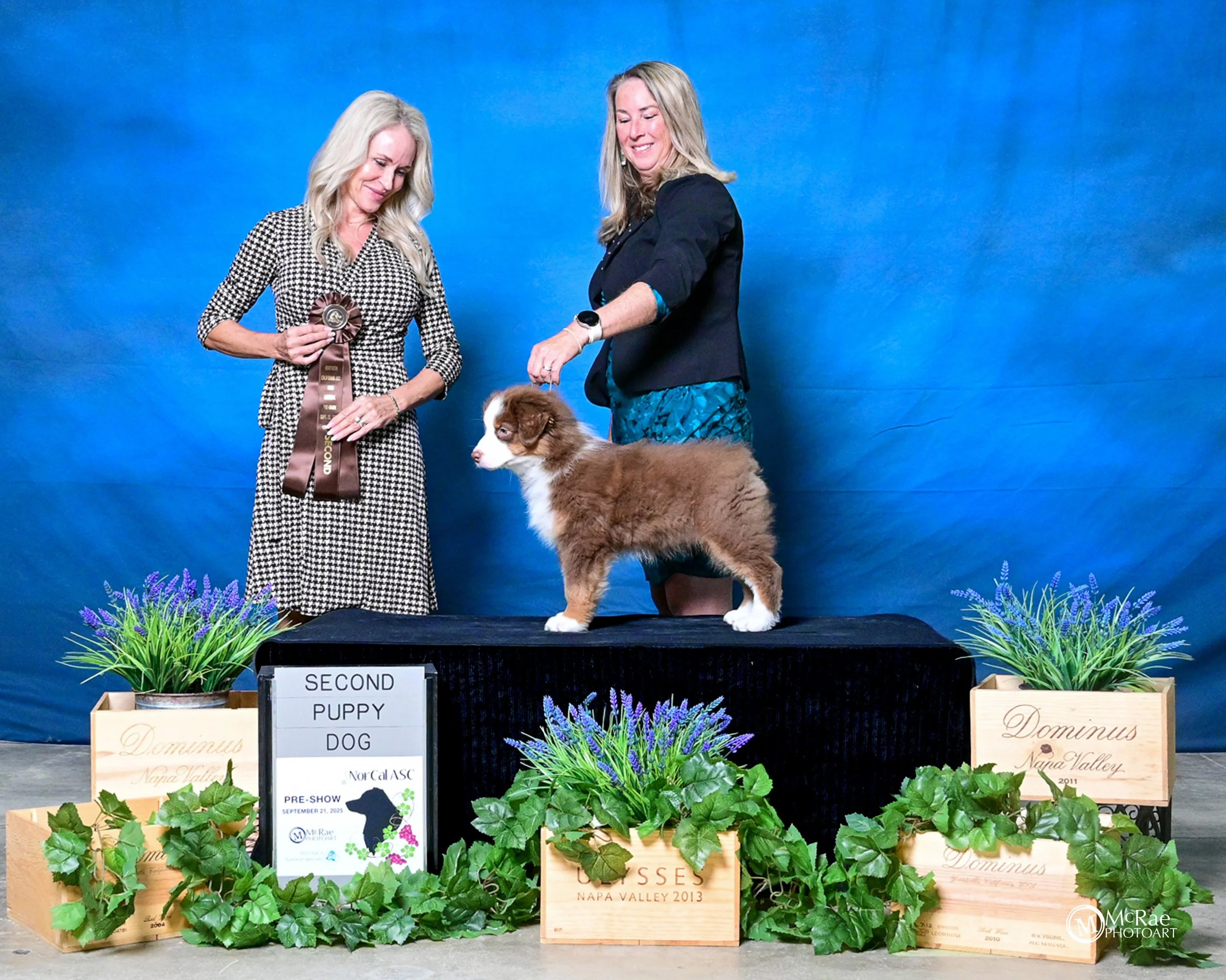 2025 SEPT NorCal Odin Judge Jasa Hatcher.jpg