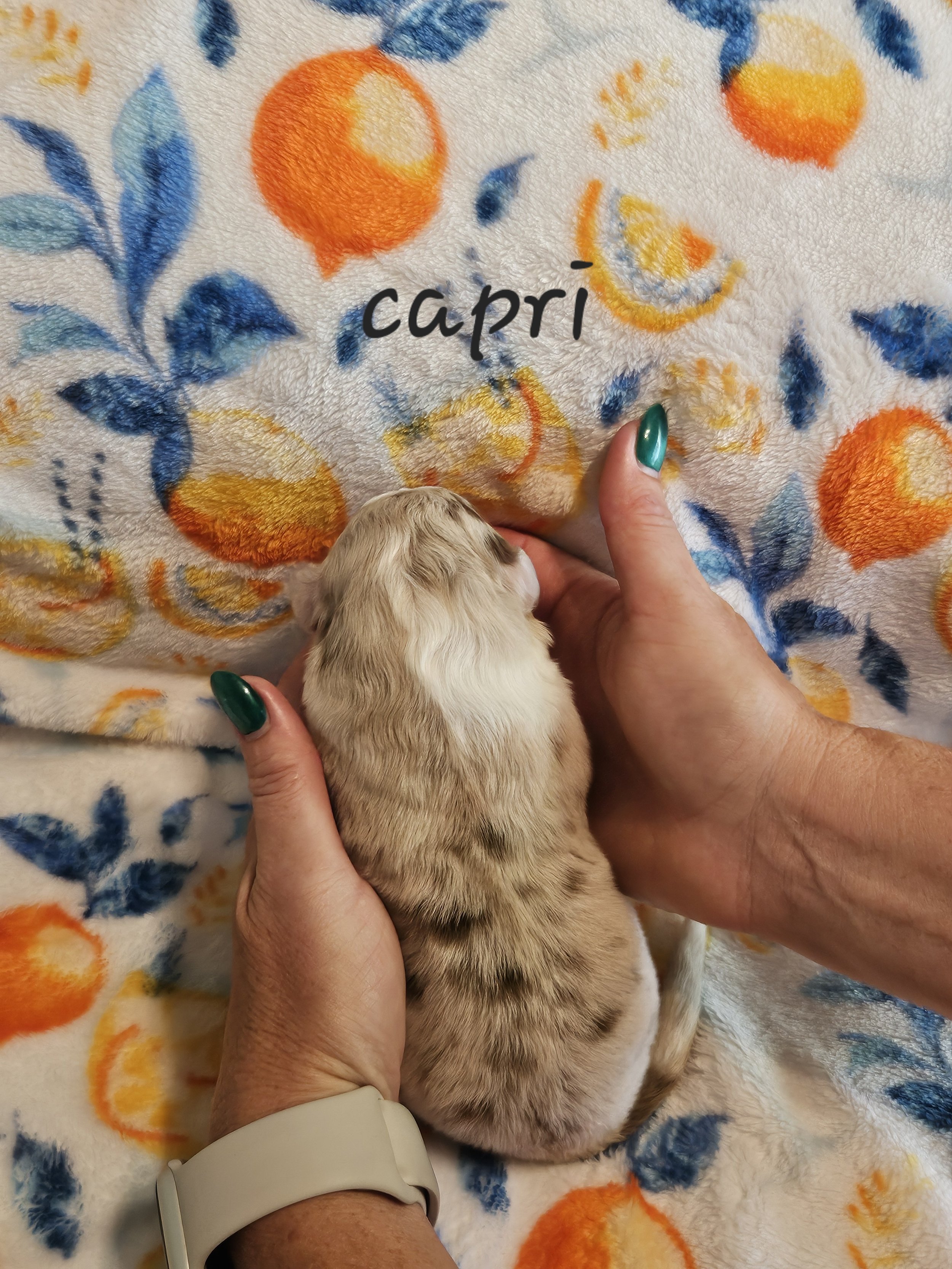 capri body 3 days.jpg