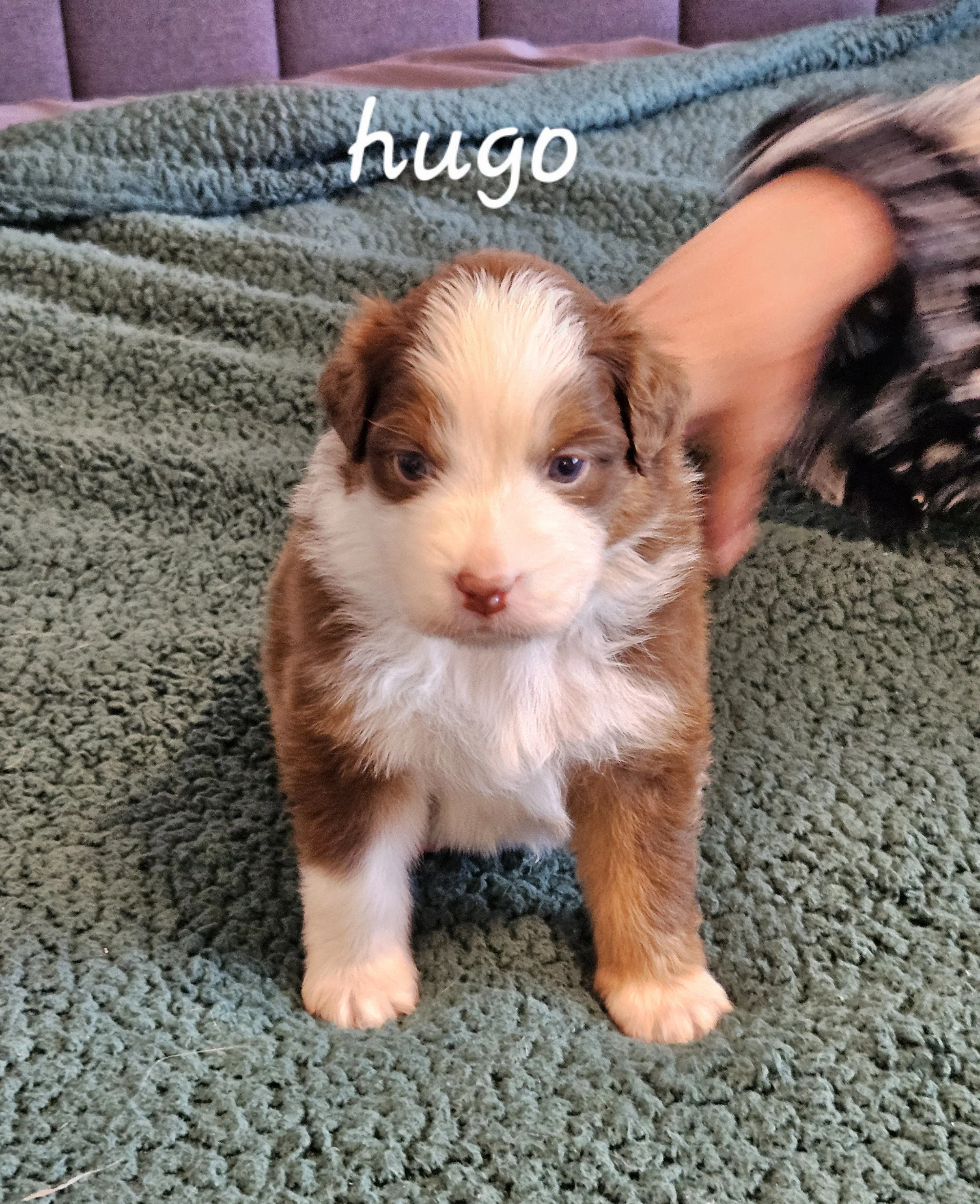 hugo 0402.jpg