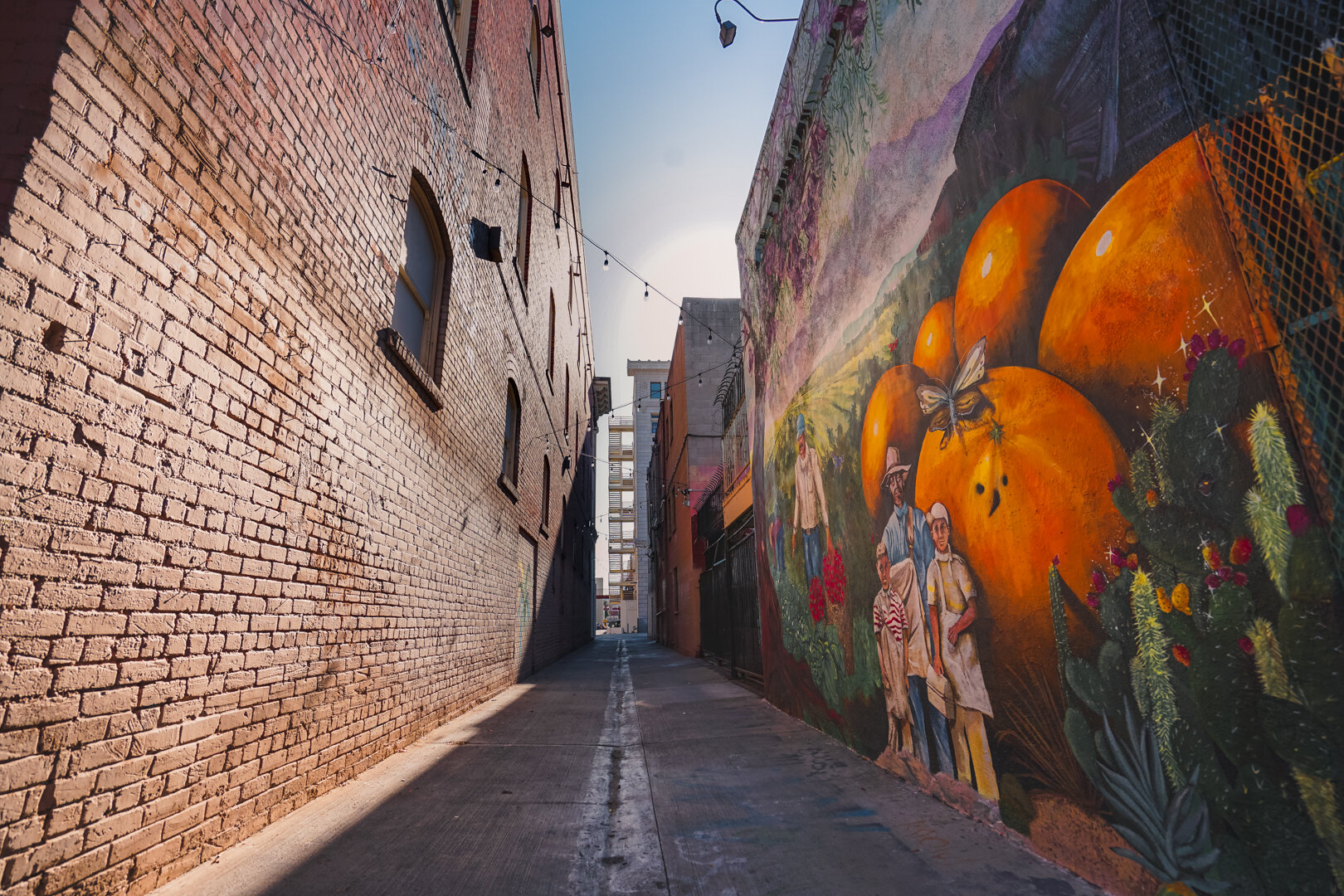 Street Art.jpg