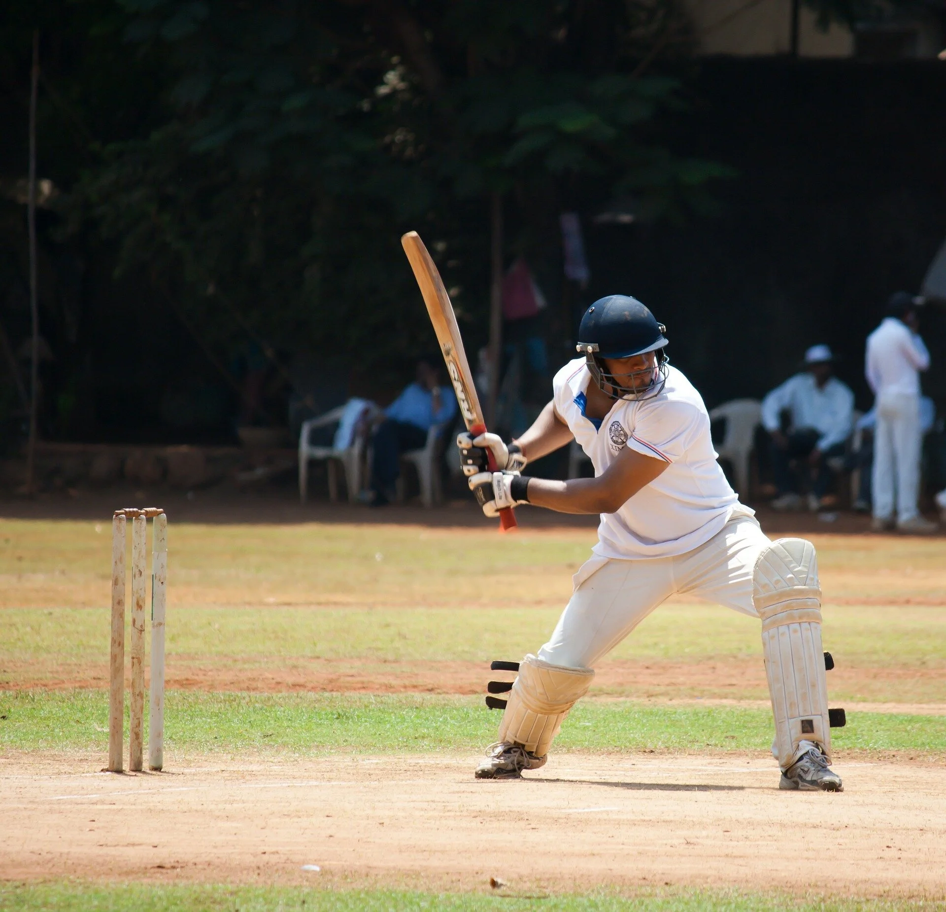 Cricket Season Recap