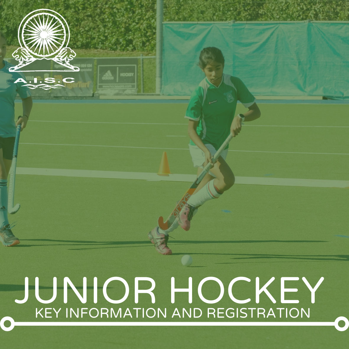 Junior Hockey 2023 Registration and Information