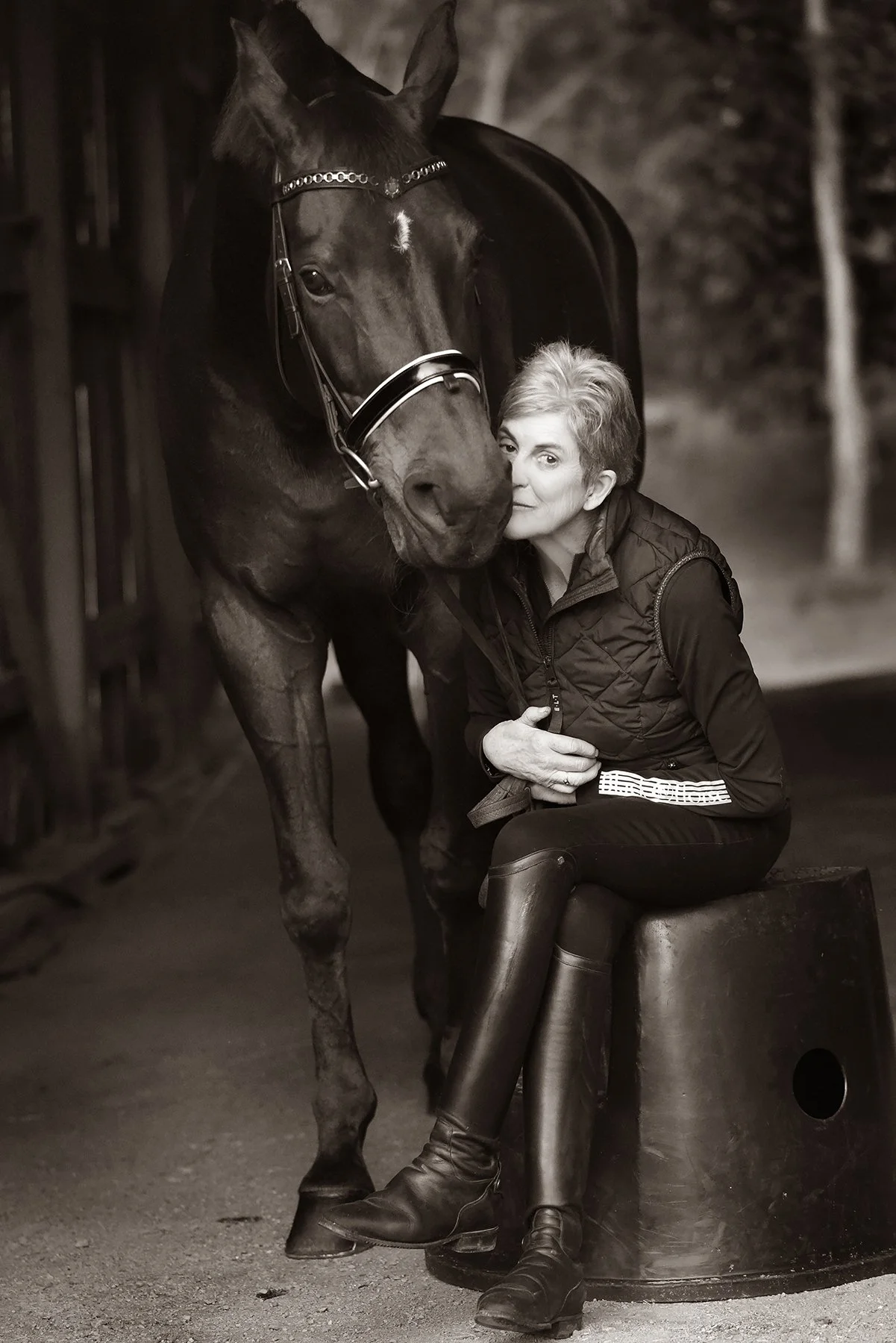 Monochrome calm — Ballarat equestrian photography.