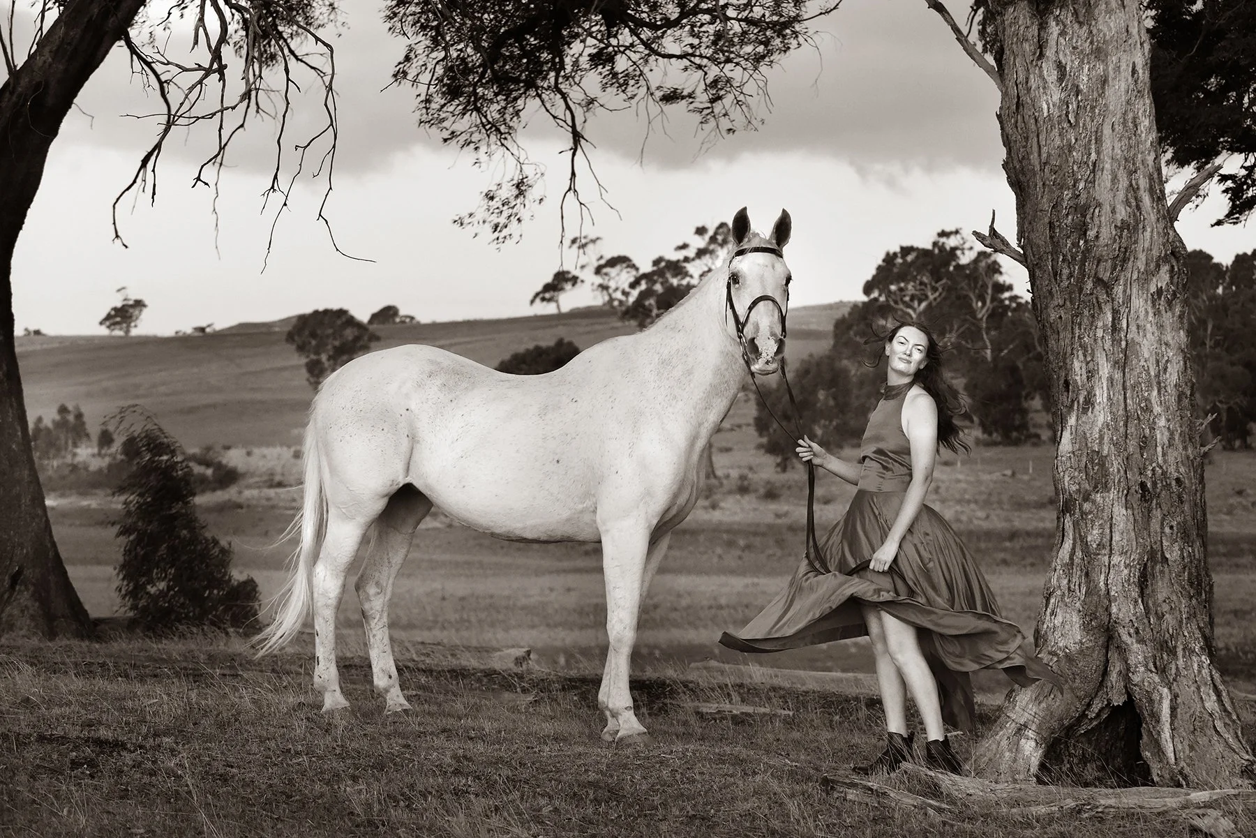 Horse and rider in paddock — equestrian photography in Victoria by Donna Todd.