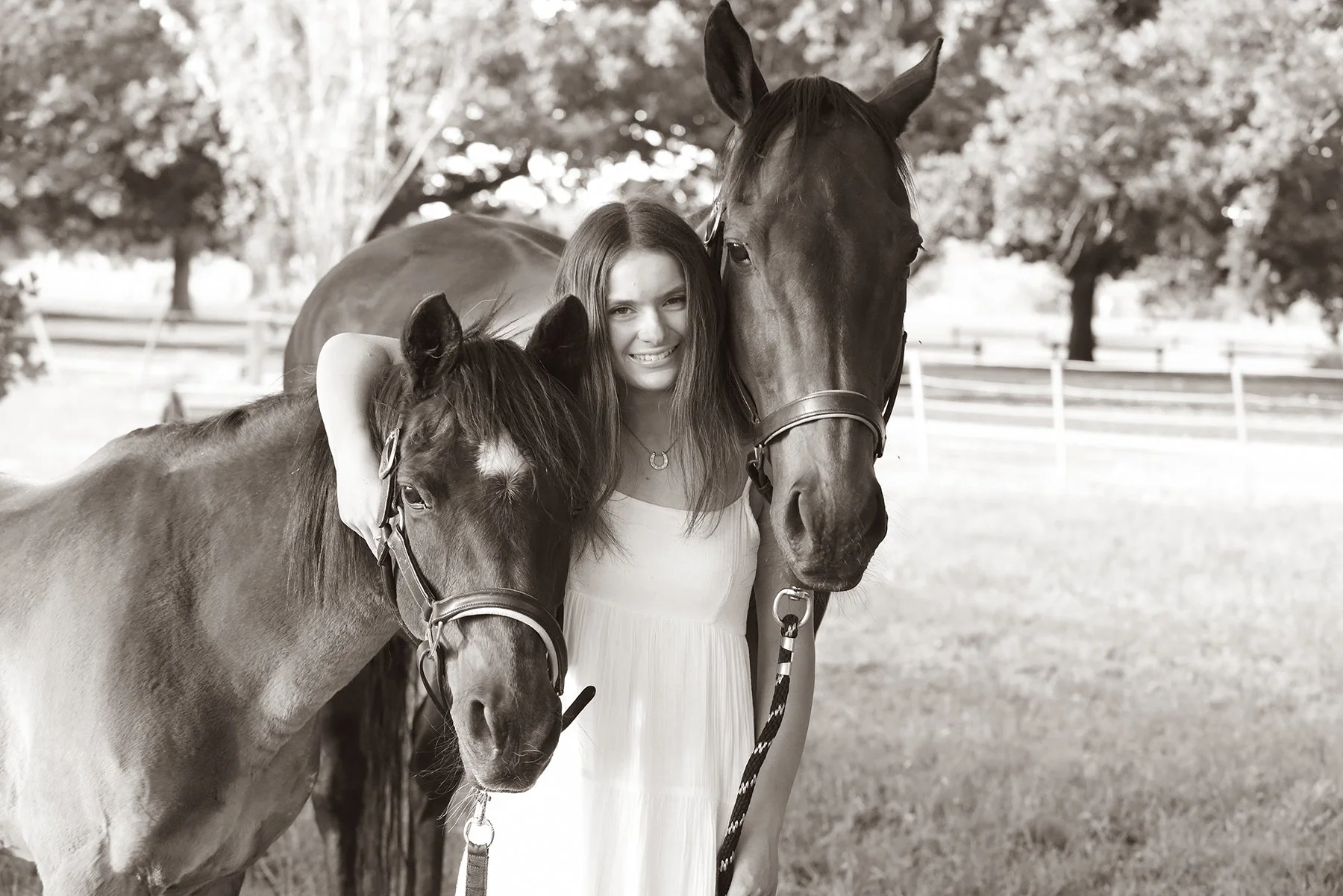 Honouring the Bond: Capturing Your Heart Horse Before It’s Too Late