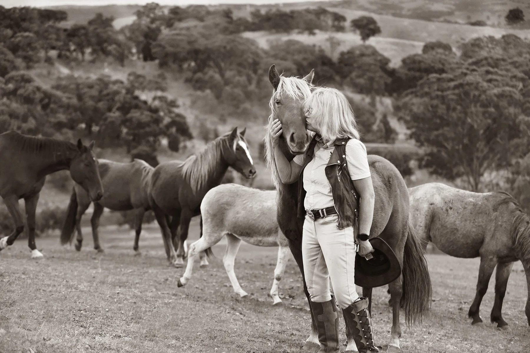Golden-light horse-and-rider portrait — equestrian photography in Woodend.