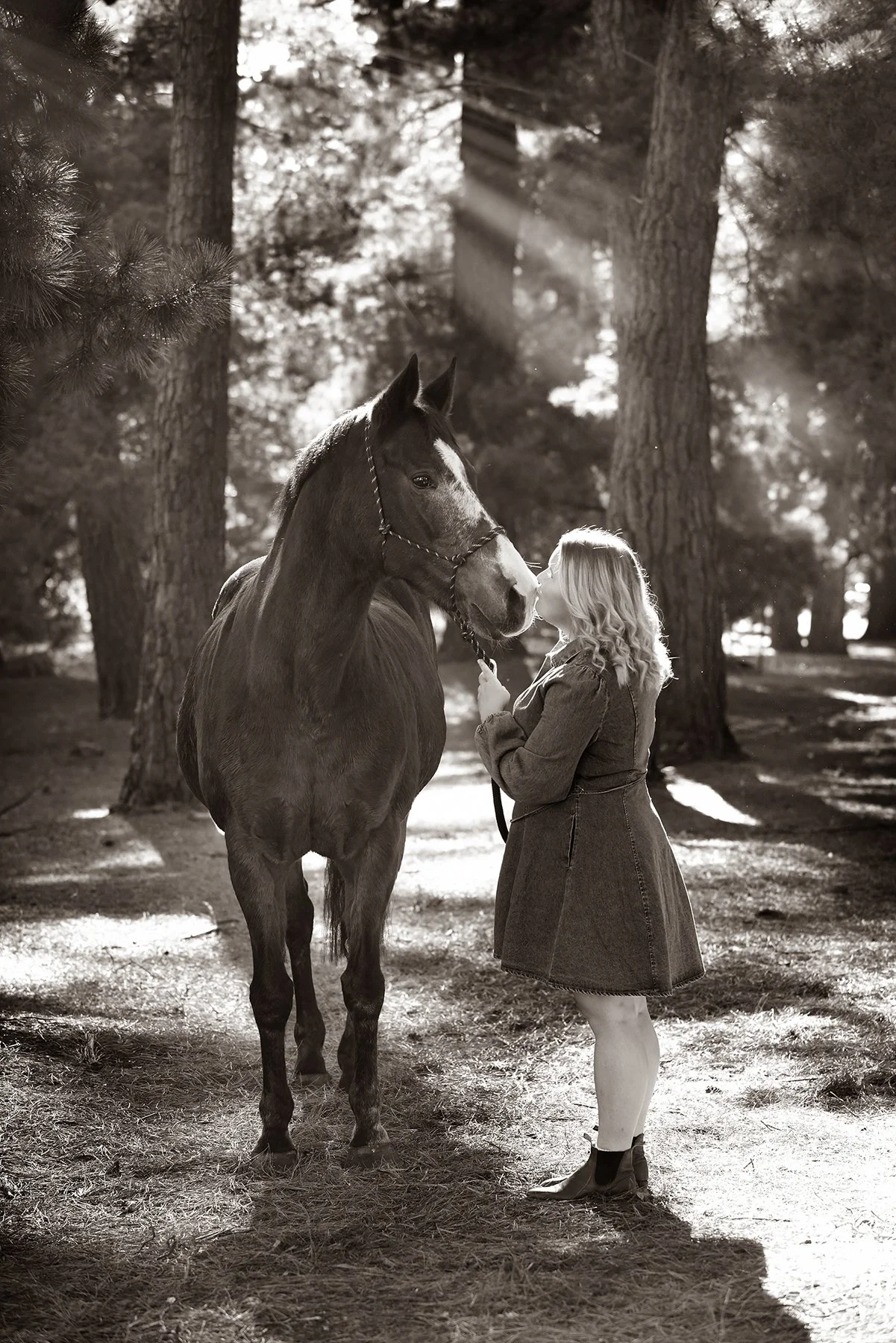 Woodland shade, gentle moments — equestrian portrait, Kyneton.