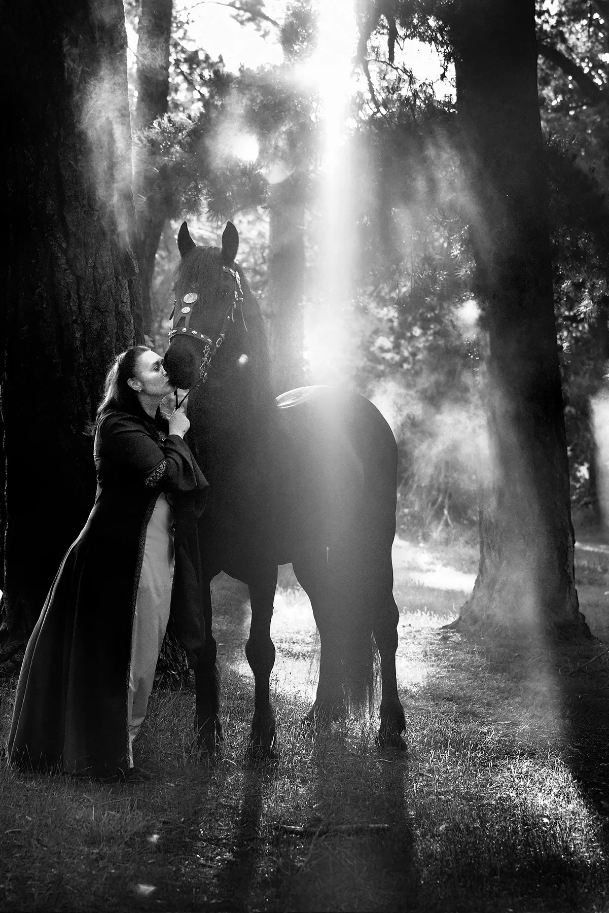 Among the gums and mist — natural equestrian portrait in the Macedon Ranges.