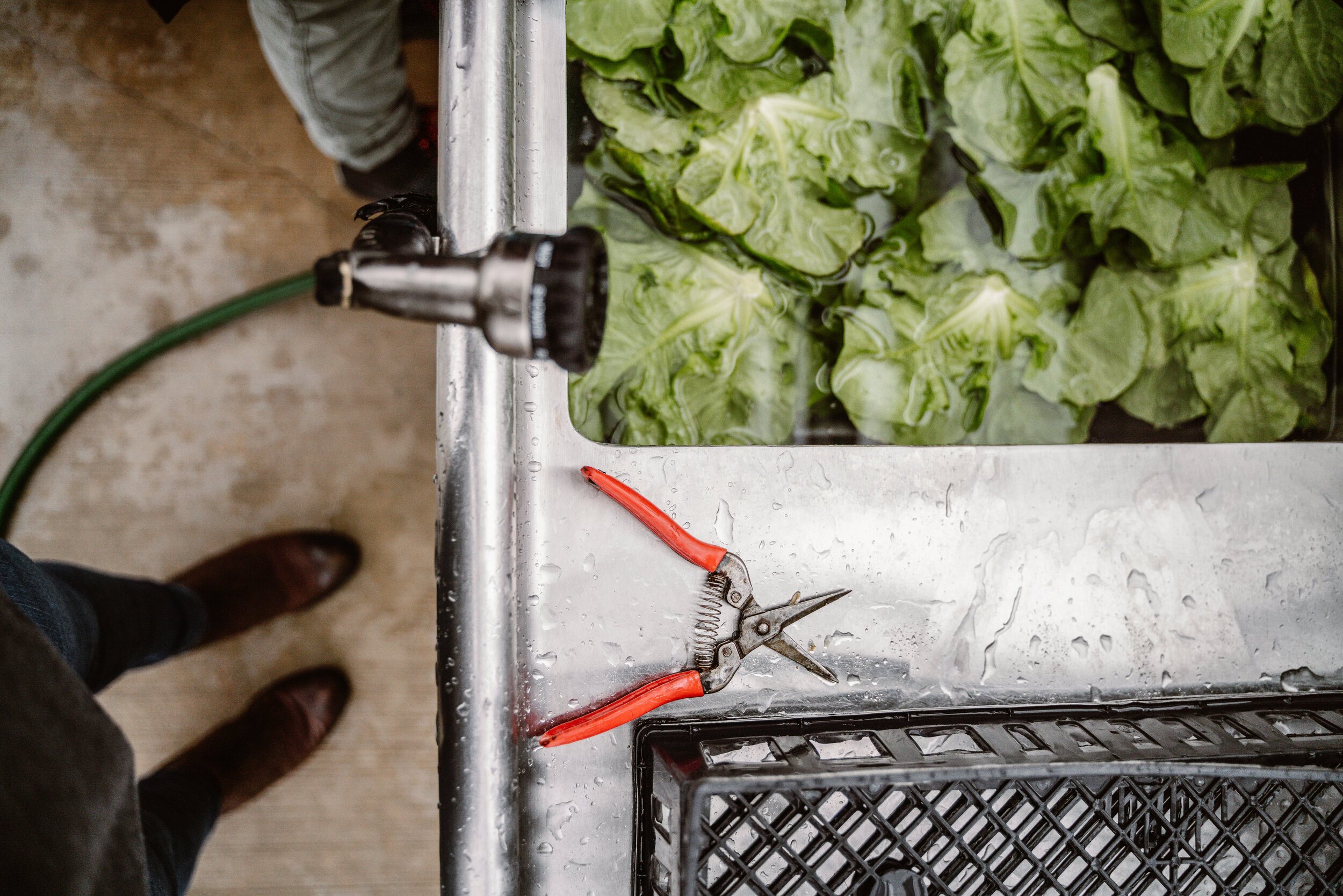 Herban Produce-428.jpg