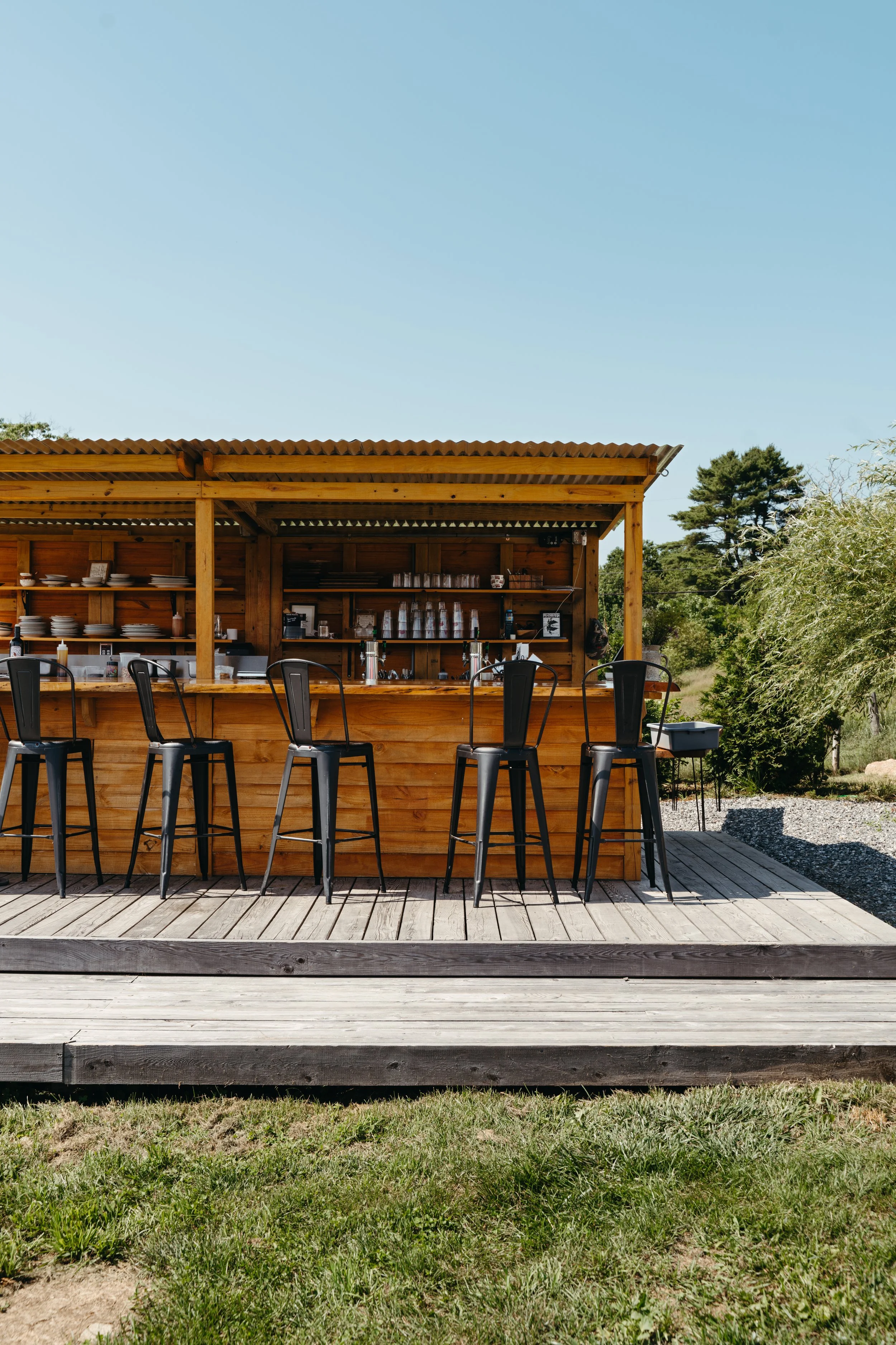 Rooting Pig _ Hannah Hoggatt-29.jpg